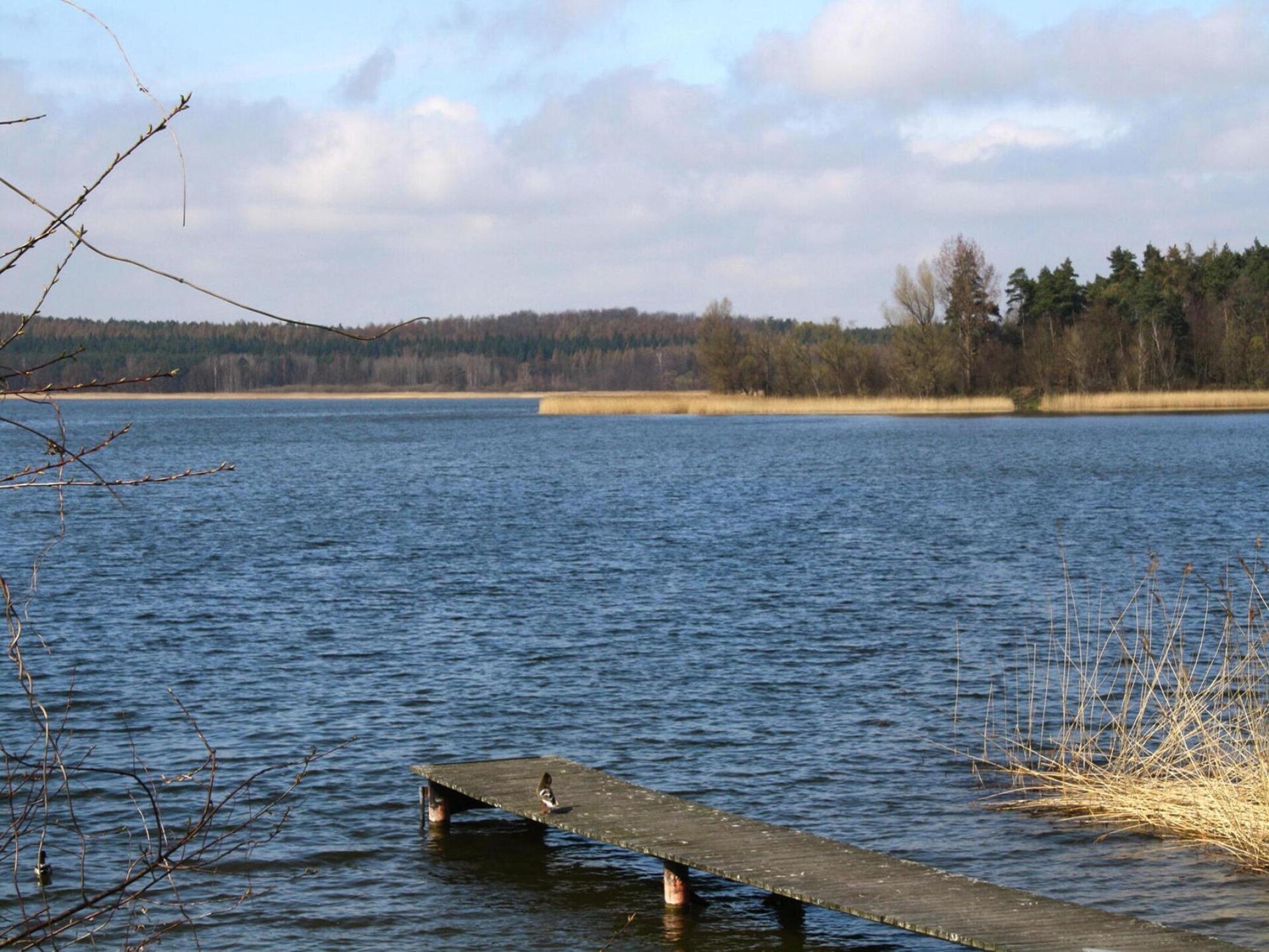 Ferienhaus An de Linn: Luxe vakantiehuis met sauna aan het meer van Neukloster - foto 16