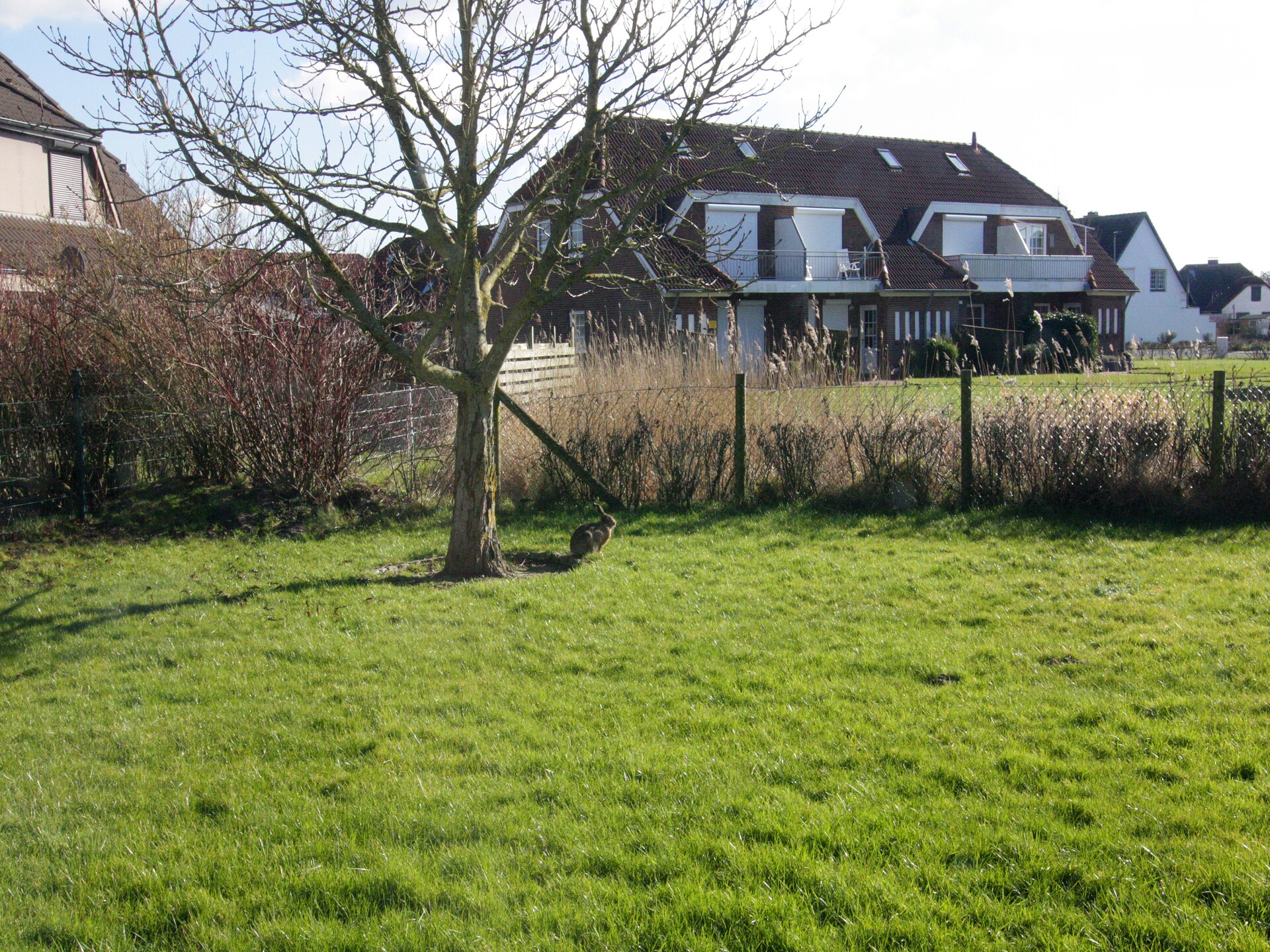 Op 300 m van zee: Comfortabel appartement in Friedrichskoog-Spitze - foto 27