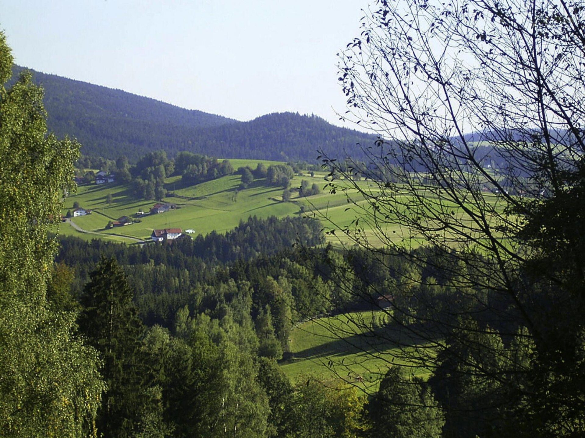 Vrijstaande blokhut op 700 meter hoogte met panoramisch uitzicht in het Beierse Woud - foto 23