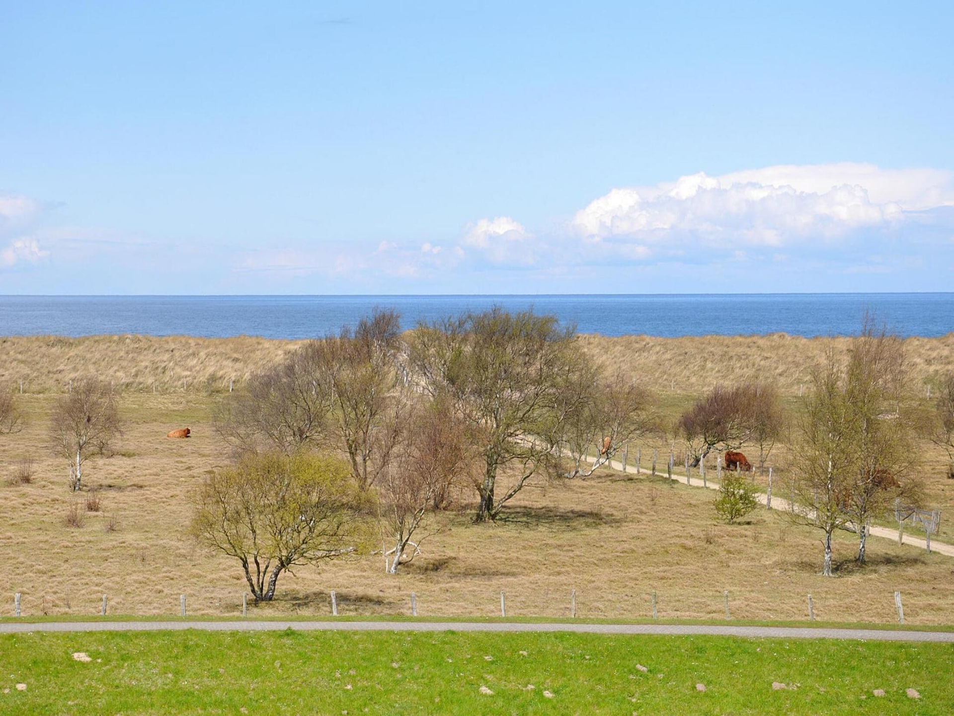 Op 400 m van zee: Comfortabel appartement in Weissenhäuser Strand - foto 32