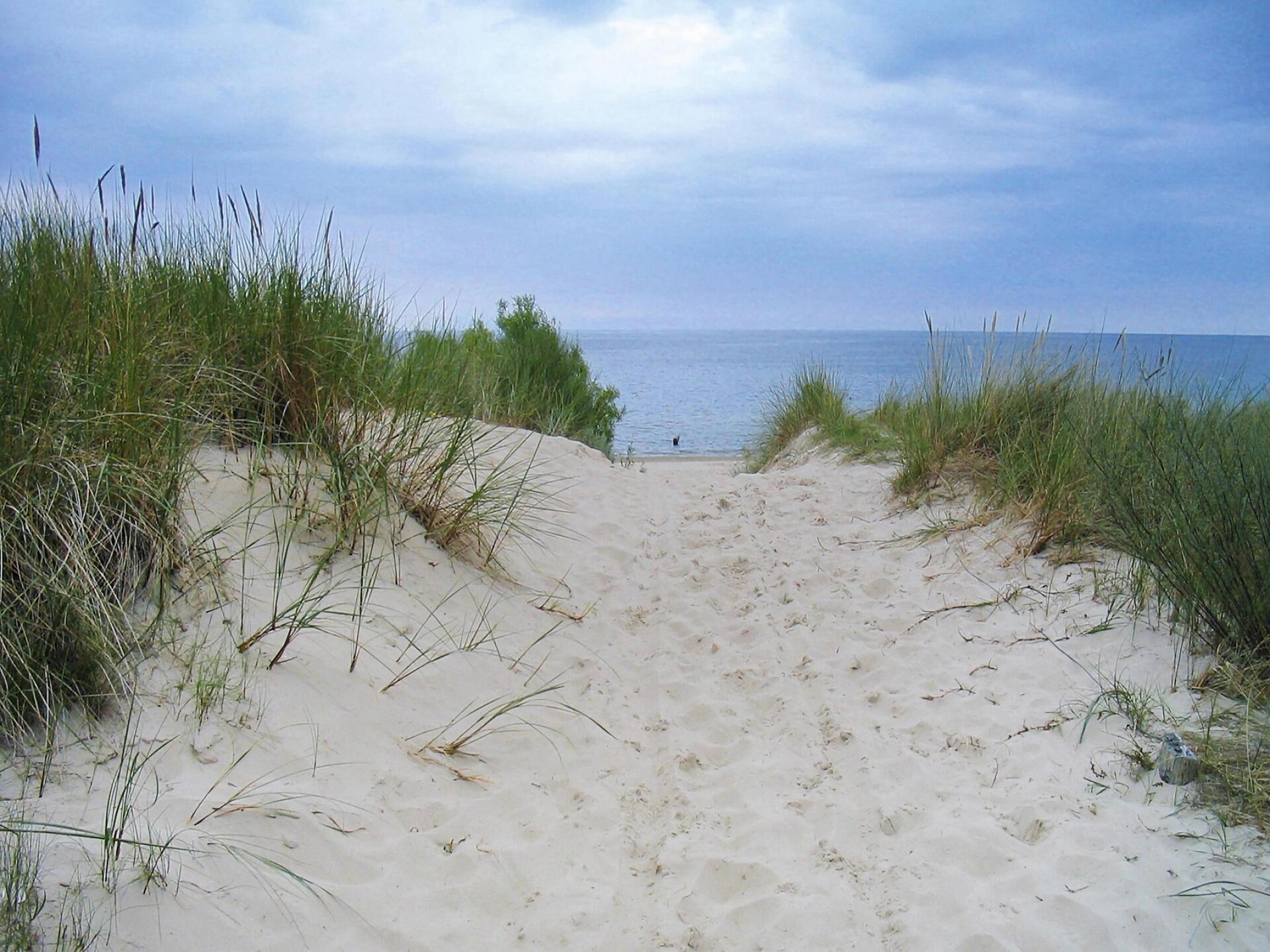 Strandhaus links – 100m van zandstrand met sauna in Trassenheide - foto 27