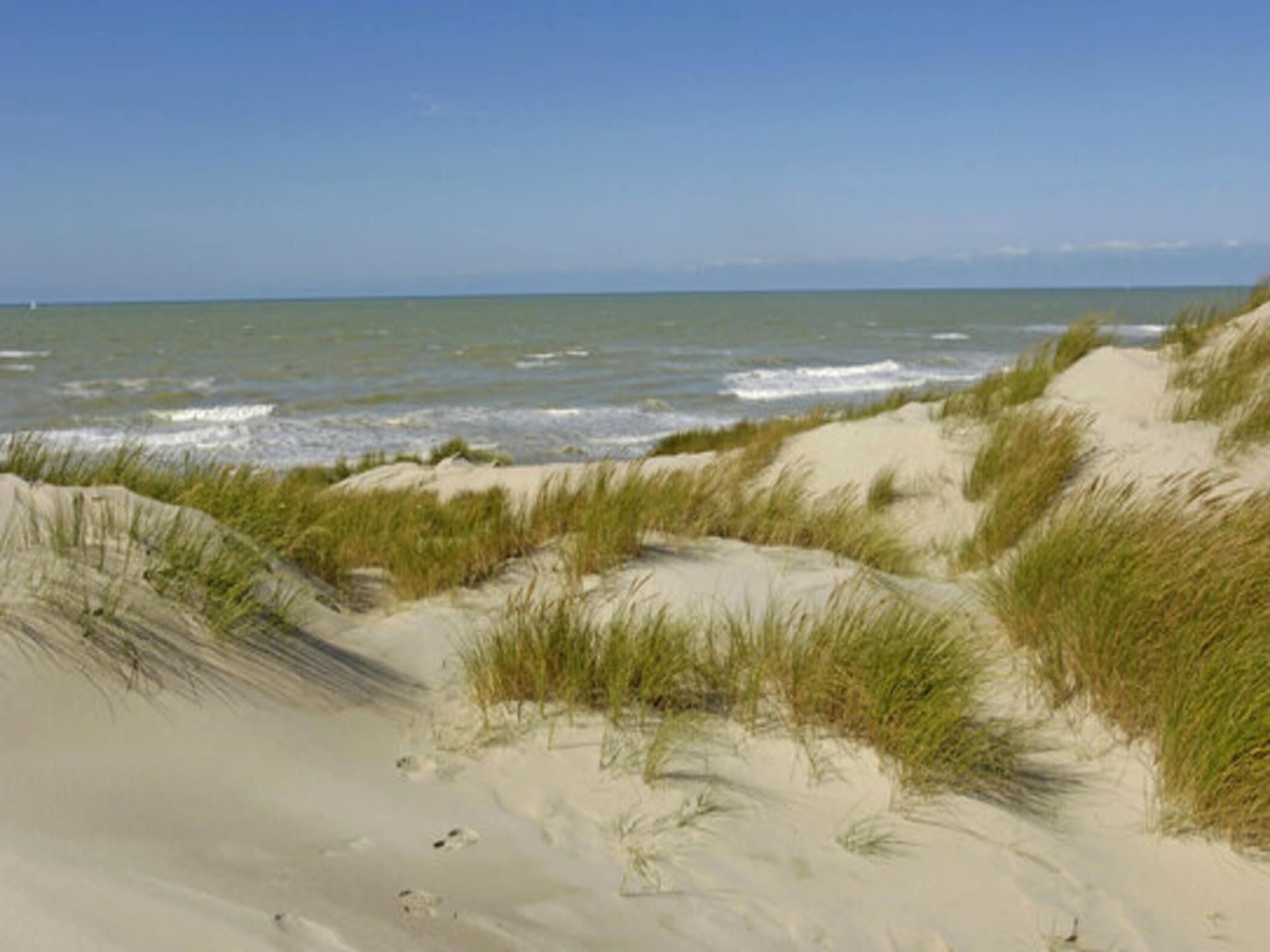 2-persoons appartement direct aan zee in Wyk auf Föhr - foto 11
