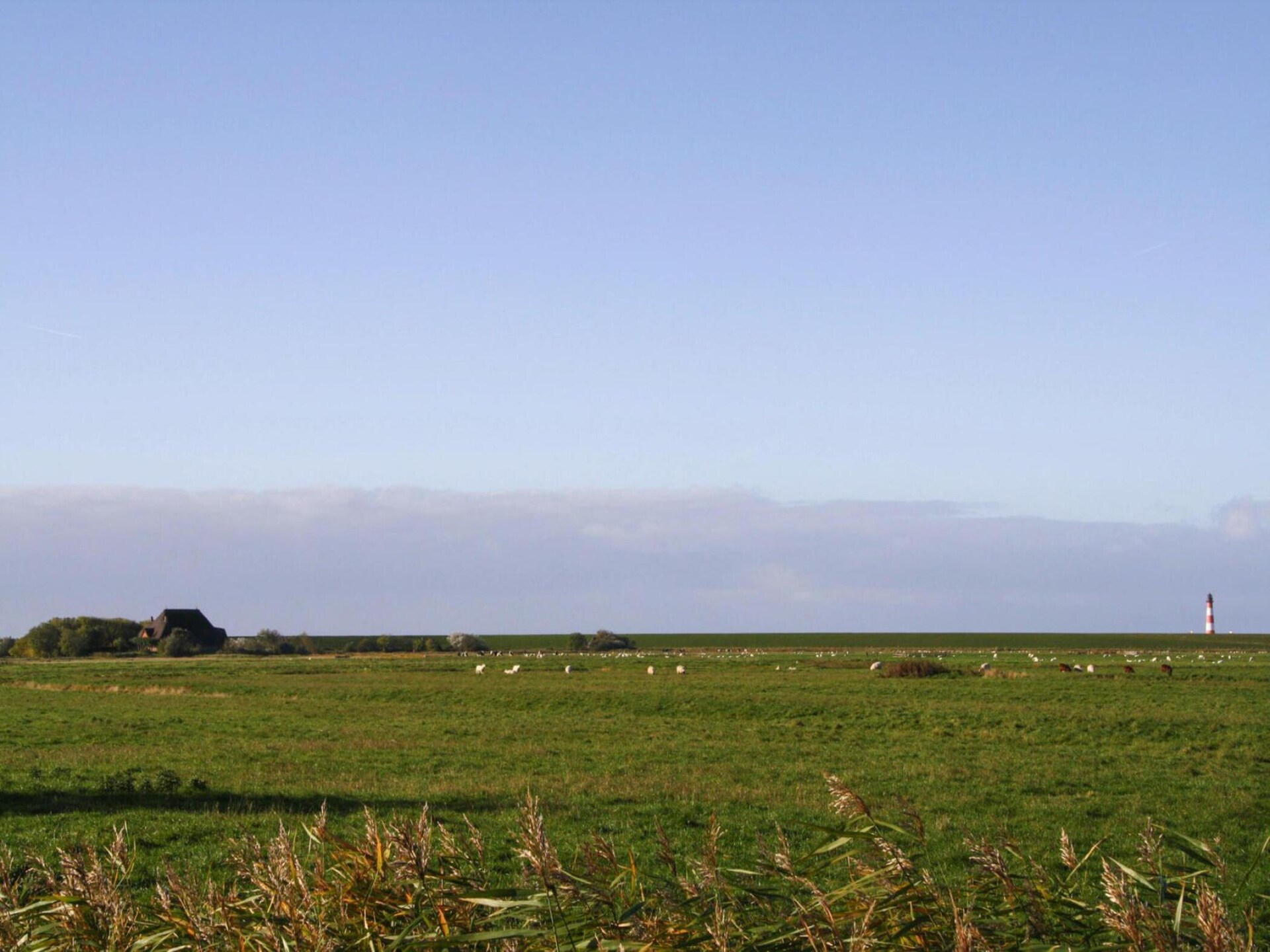 Knus appartement voor 2 aan de golfbaan bij St. Peter-Ording - foto 14