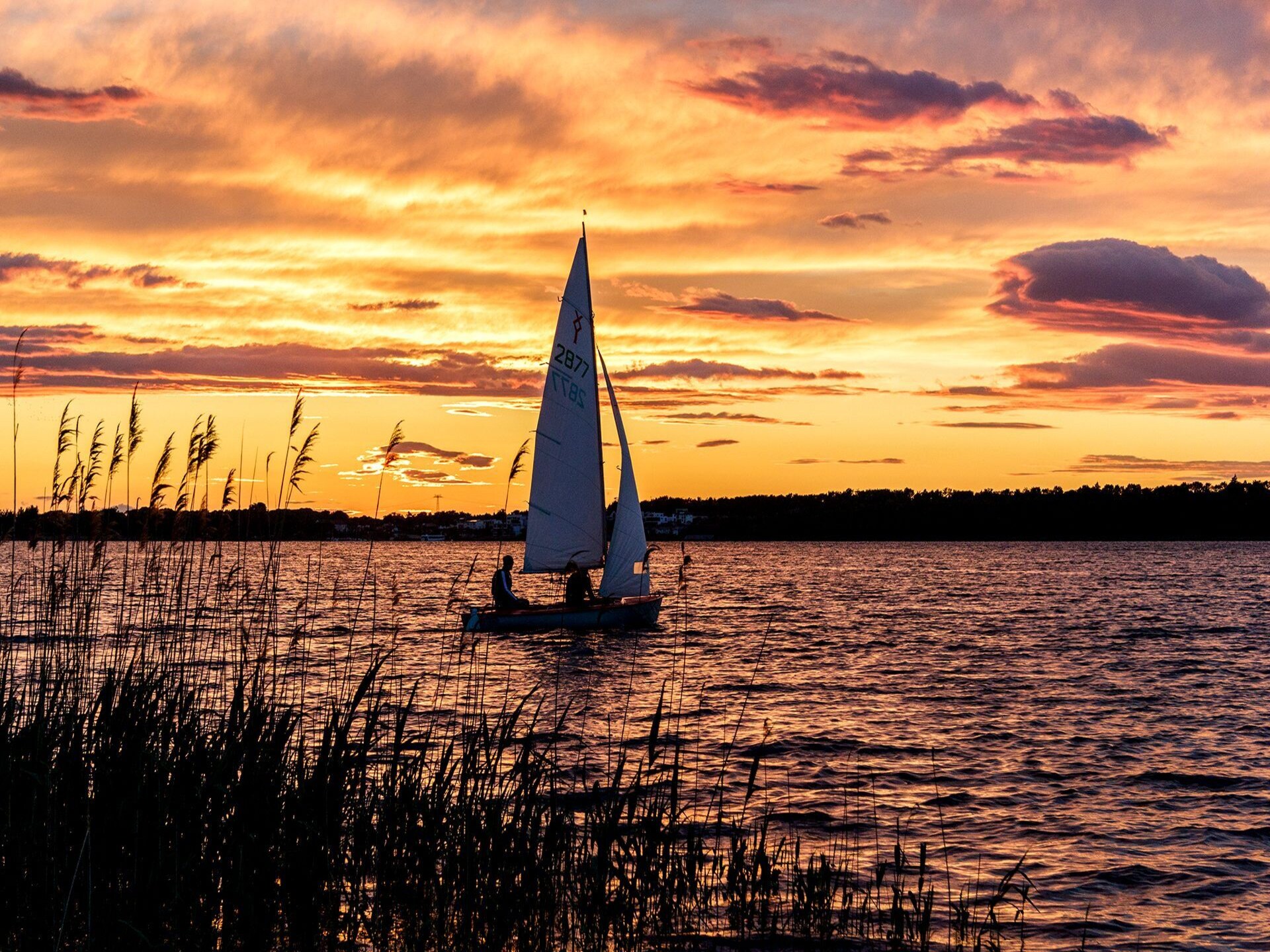 Vrijstaand vakantiehuis met wellness aan de Markkleeberger See - foto 26