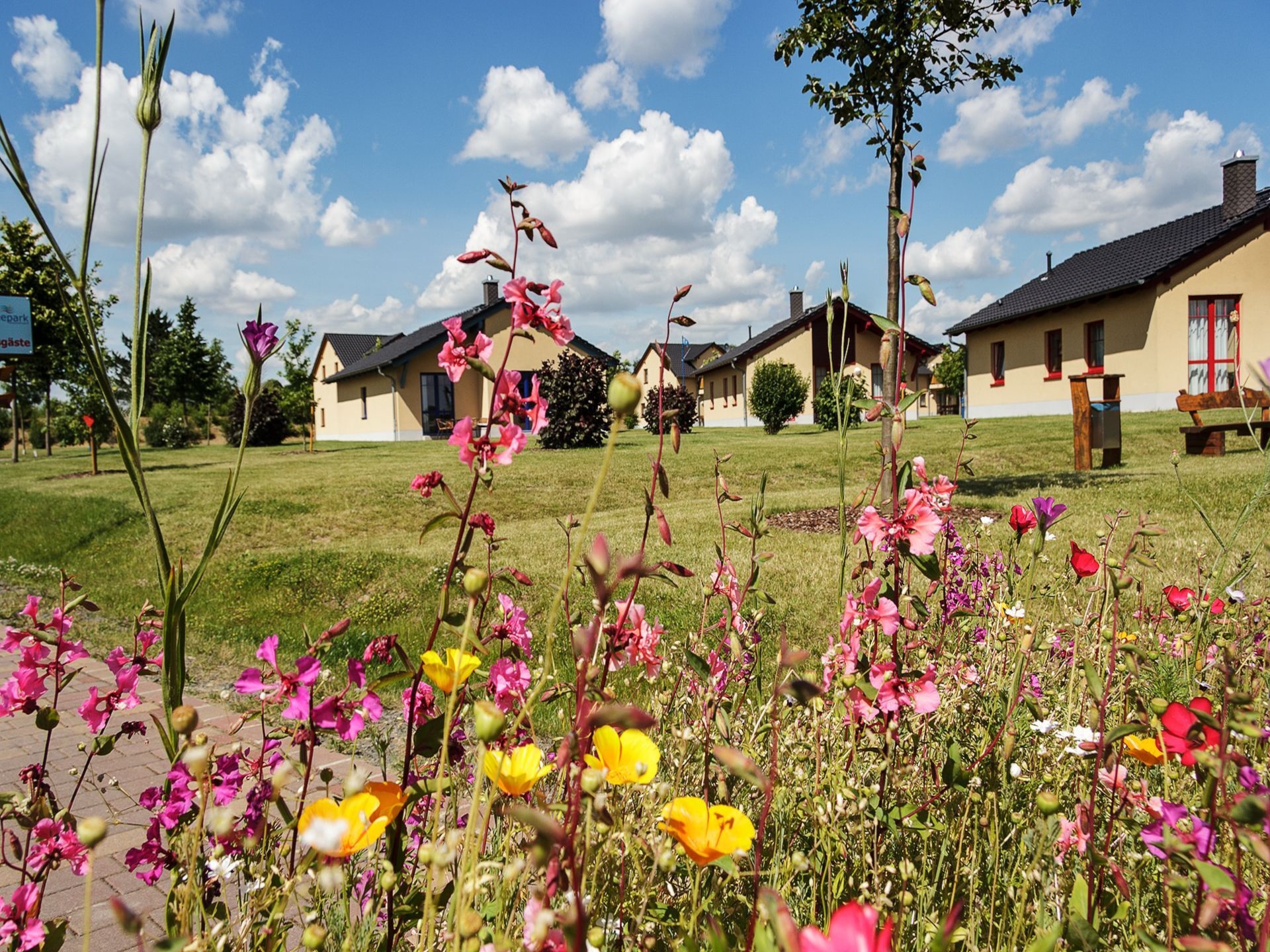 Vrijstaand vakantiehuis met wellness aan de Markkleeberger See - foto 15