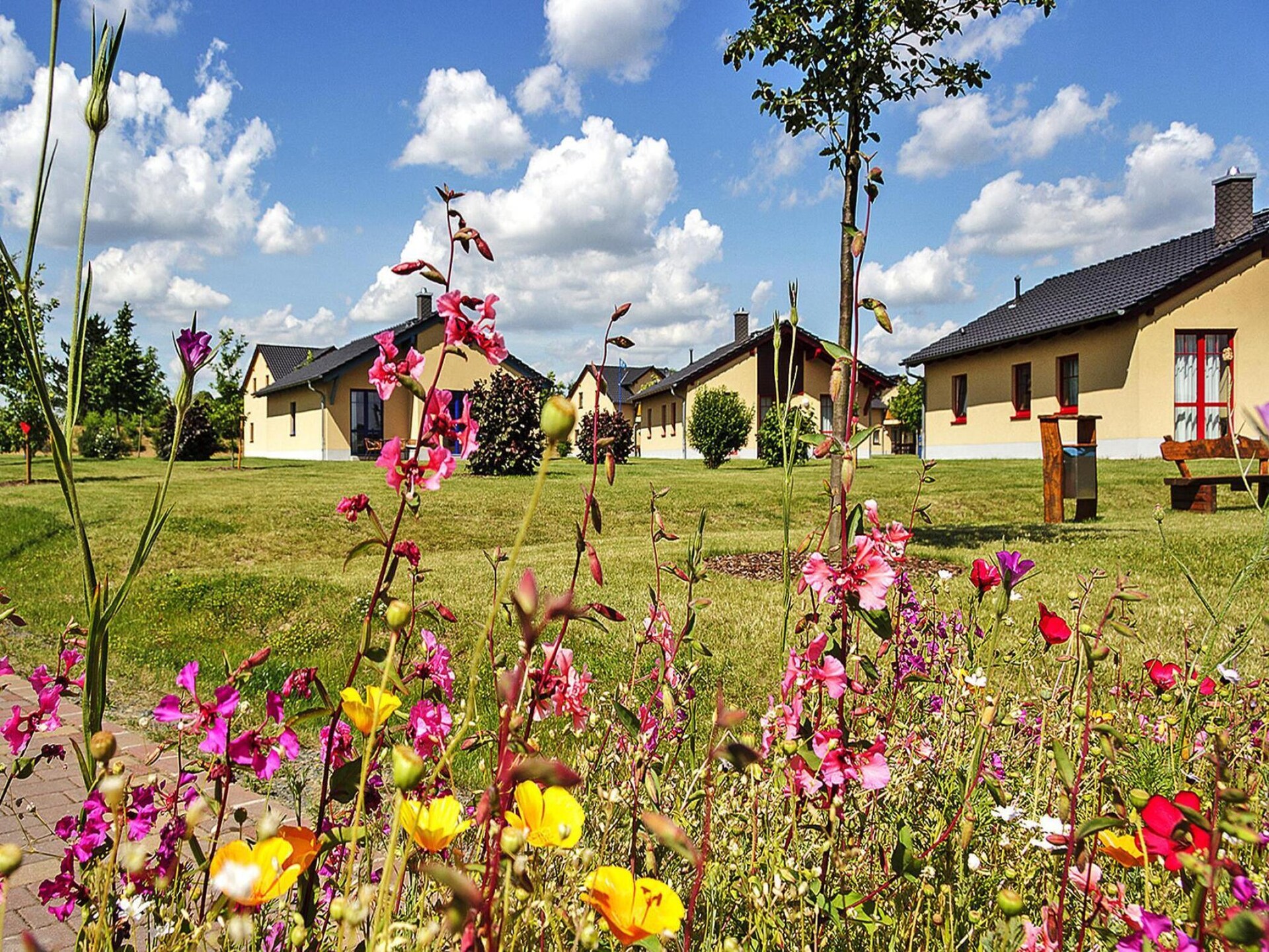 Vrijstaand vakantiehuis aan de Markkleeberger See met wellness - foto 15