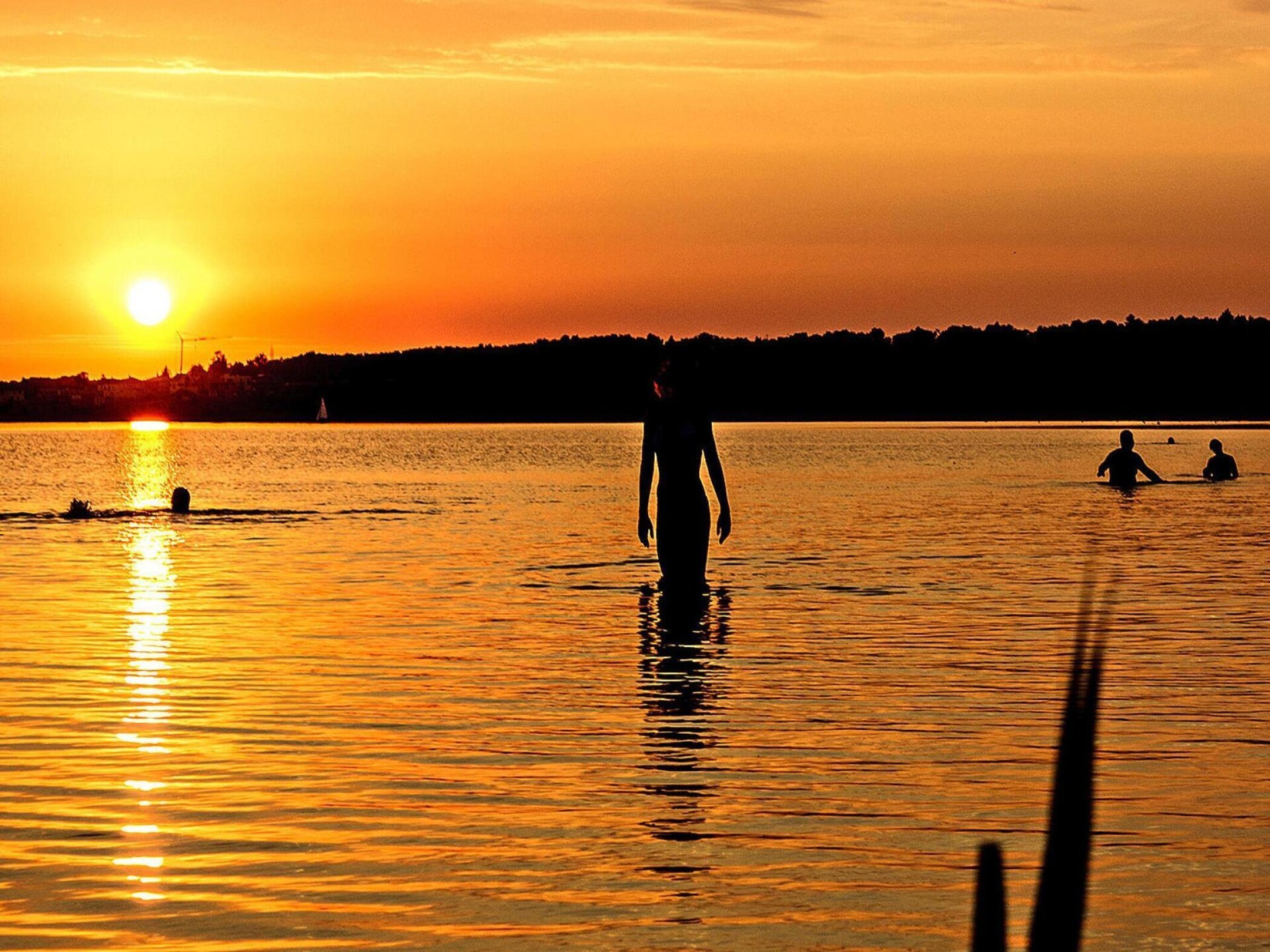 Vrijstaand vakantiehuis aan de Markkleeberger See met wellness - foto 24