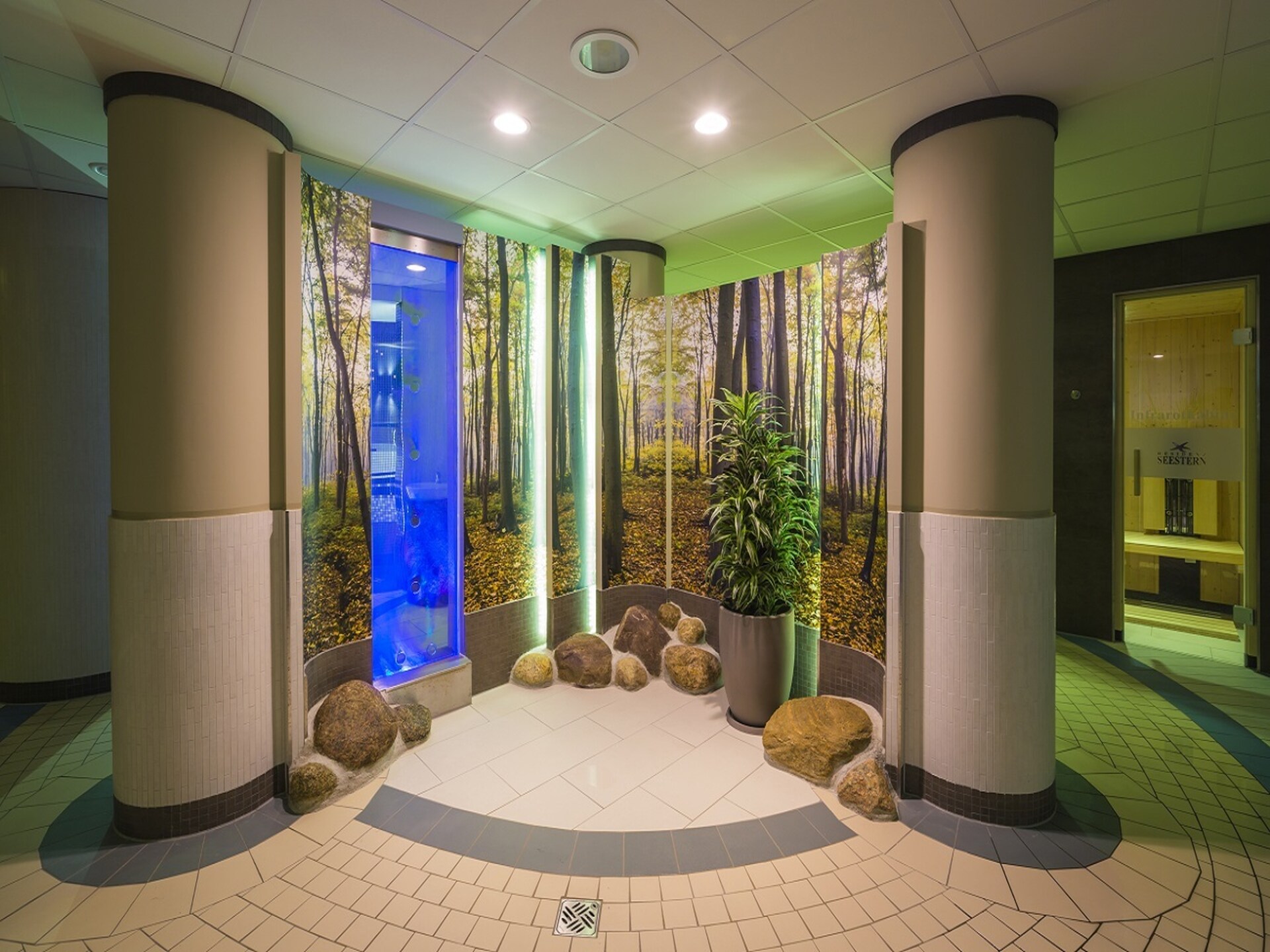 Residenz Seestern: knus appartement op 200m van het strand in Boltenhagen - foto 15