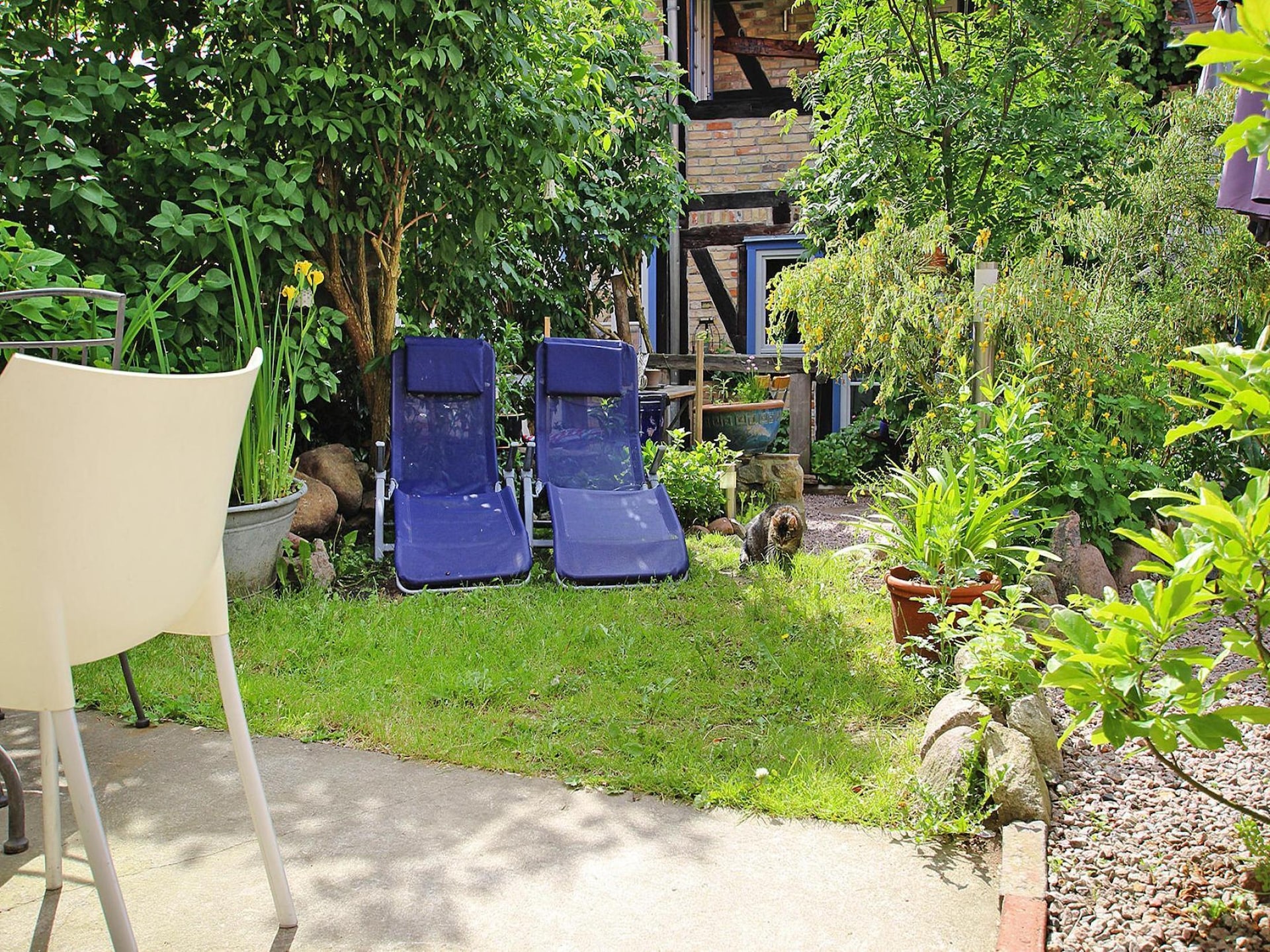 Op 800 m van het meer: Smaakvol appartement in Plau am See - foto 8