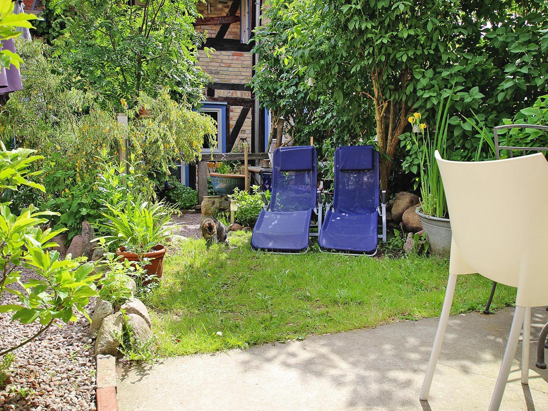 Op 800 m van het meer: Smaakvol appartement in Plau am See - foto 17