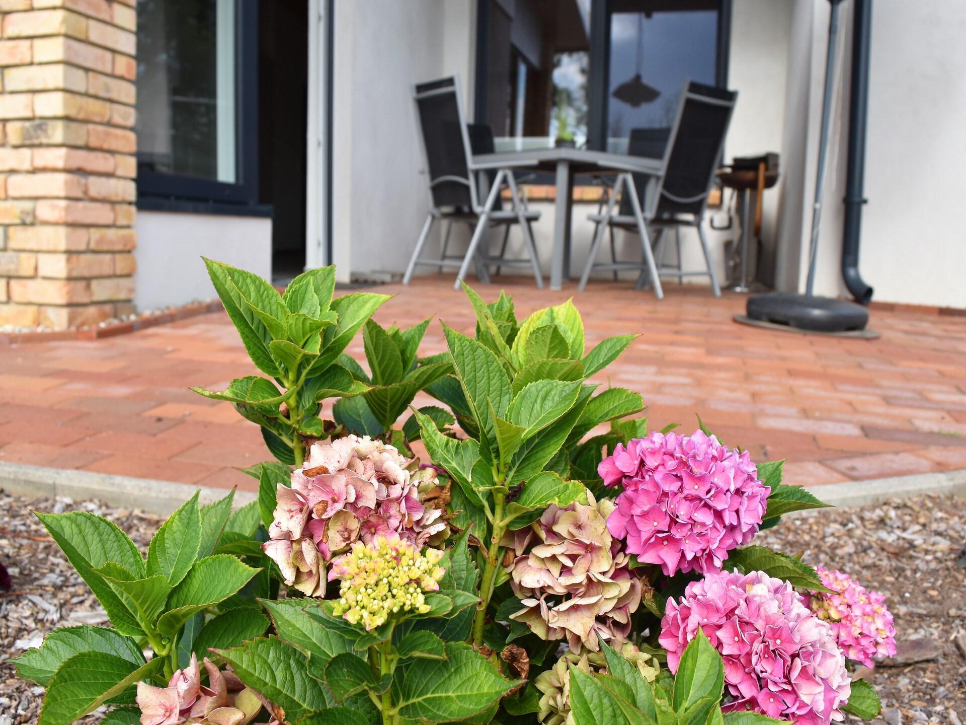 Aan het meer: Knusse bungalow in Klein Labenz voor 4 personen - foto 42