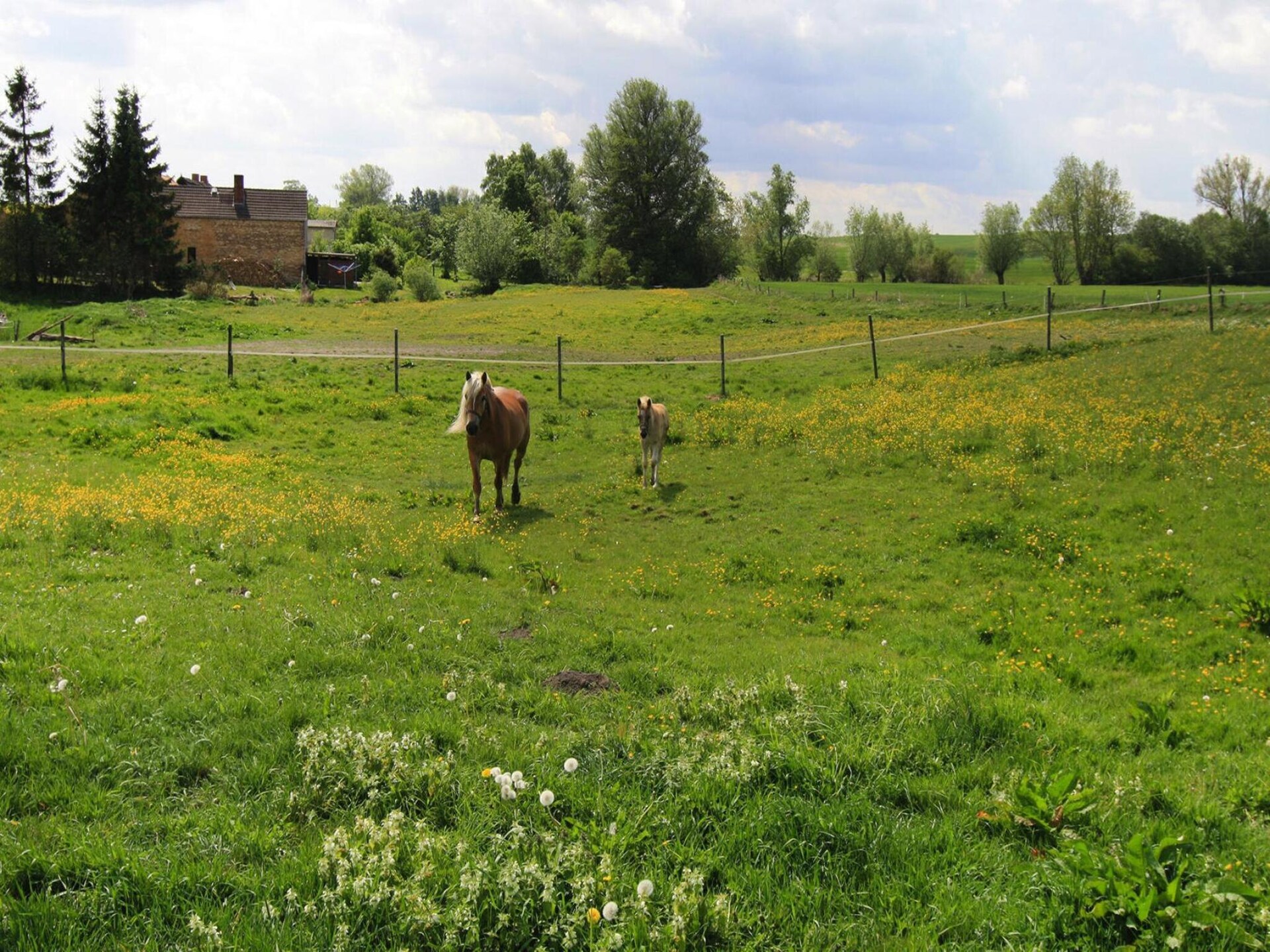 Vrijstaand vakantiehuis in Sternberger Seenland met 3 meren op loopafstand - foto 13
