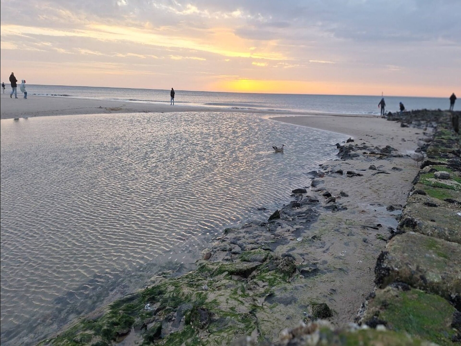 Knus golfappartement voor 2 in Westerland, vlakbij strand en zee - foto 15