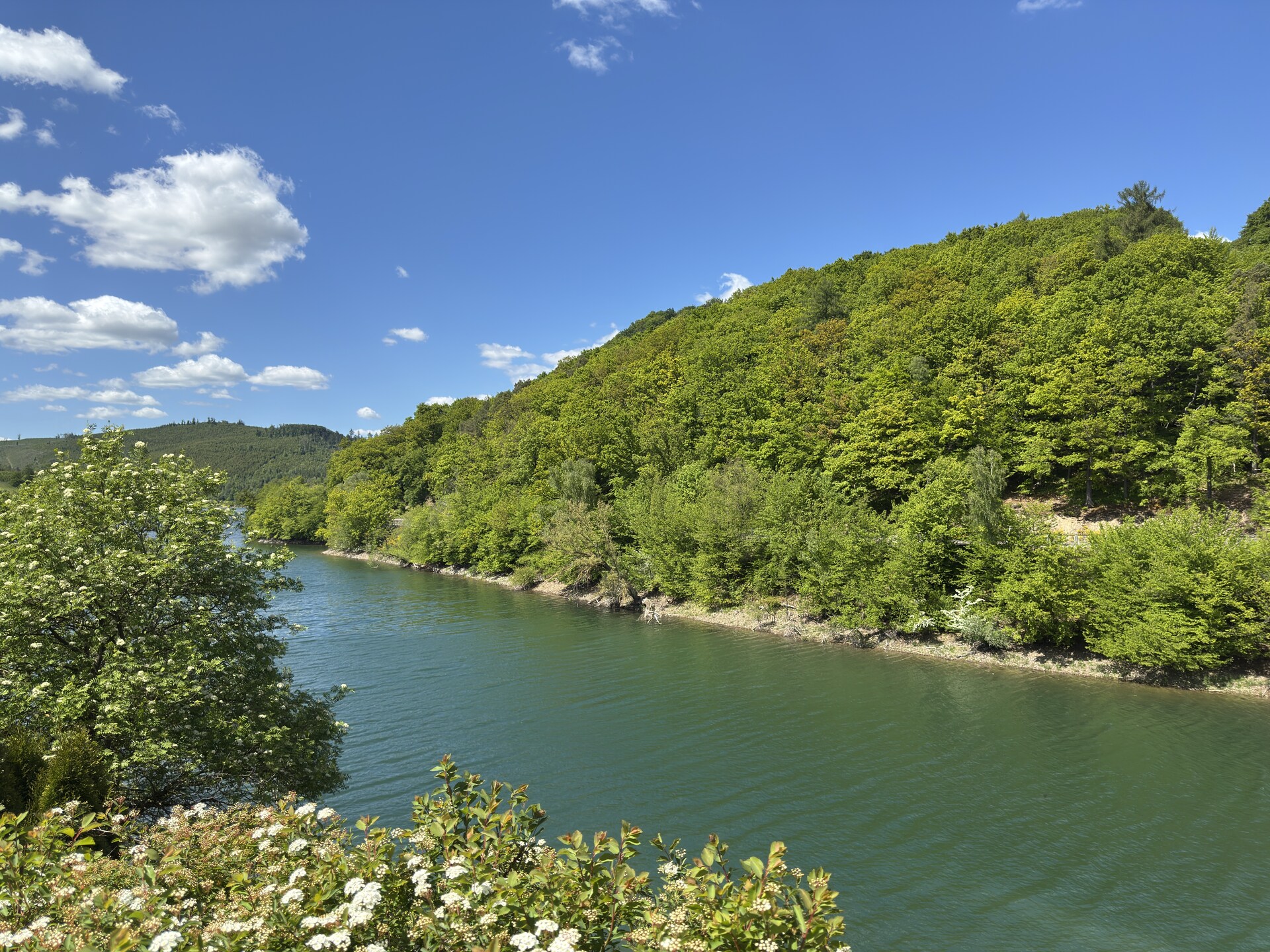 Vrijstaand 2-persoons Premiumchalet vlakbij de Diemelsee met wellness - foto 34