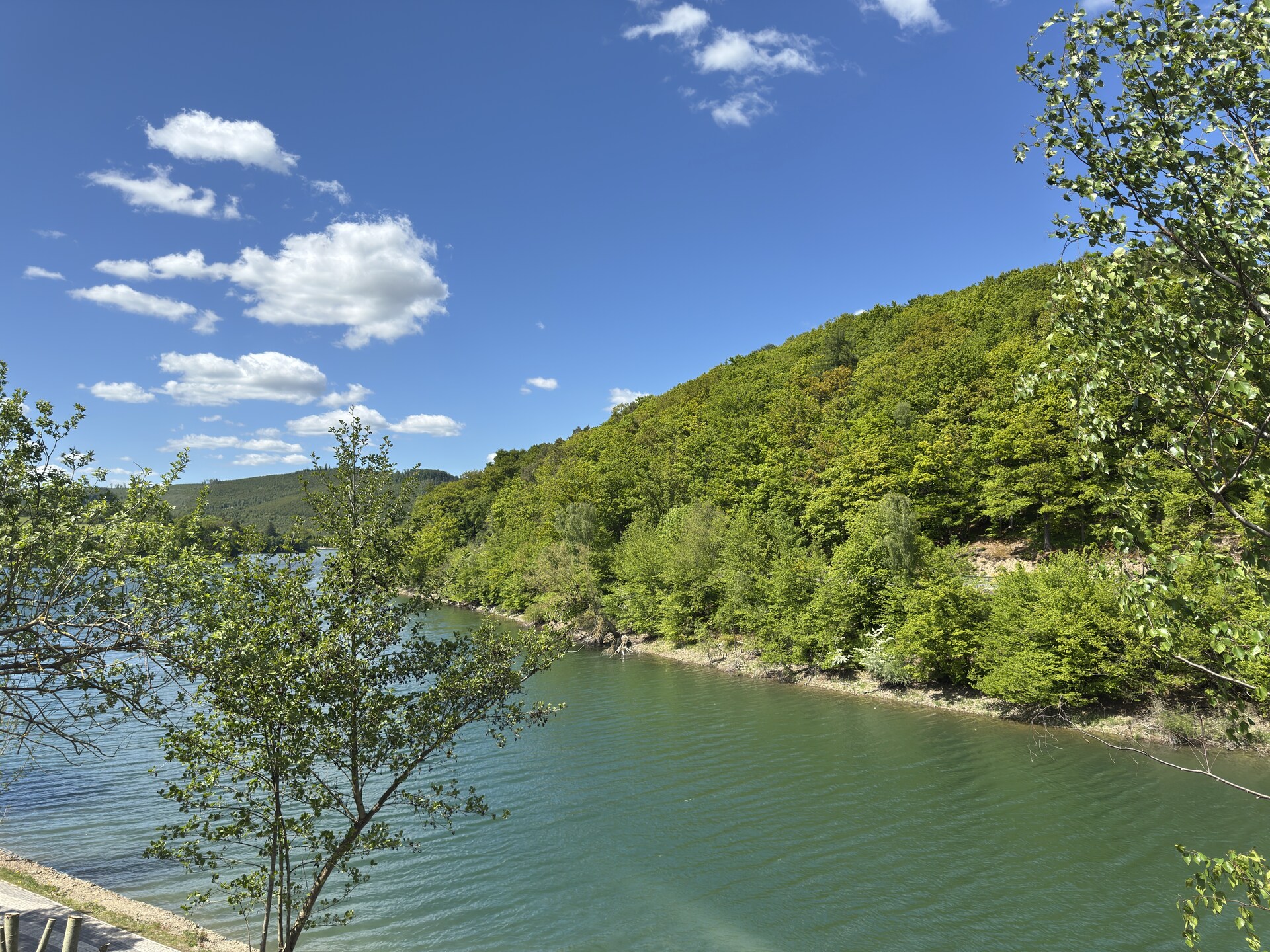 Luxe vrijstaand chalet voor 4 personen, 50 meter van de Diemelsee - foto 38