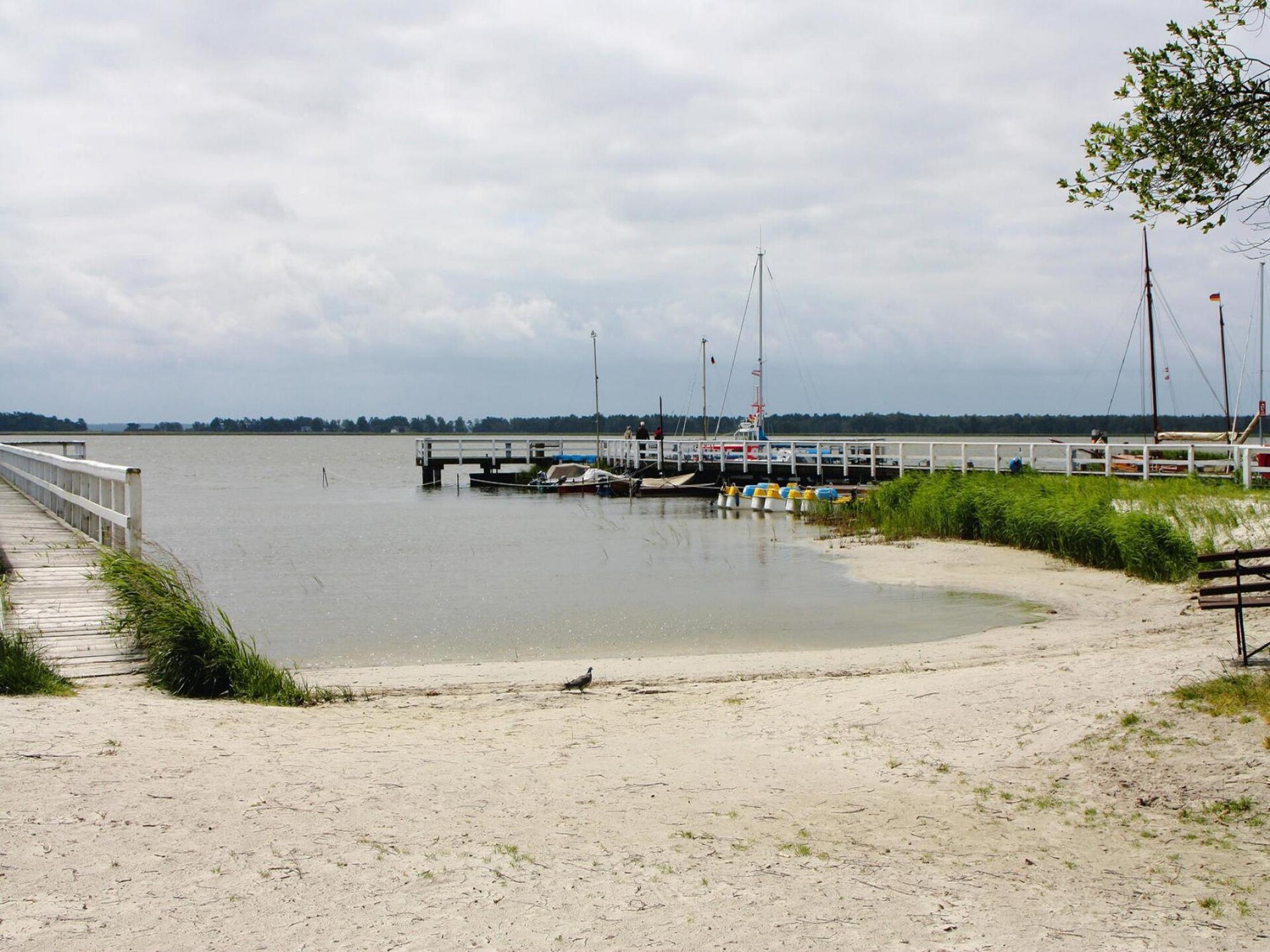 Charmant rieten dak appartement met open haard in Wieck am Darß, vlakbij strand - foto 15