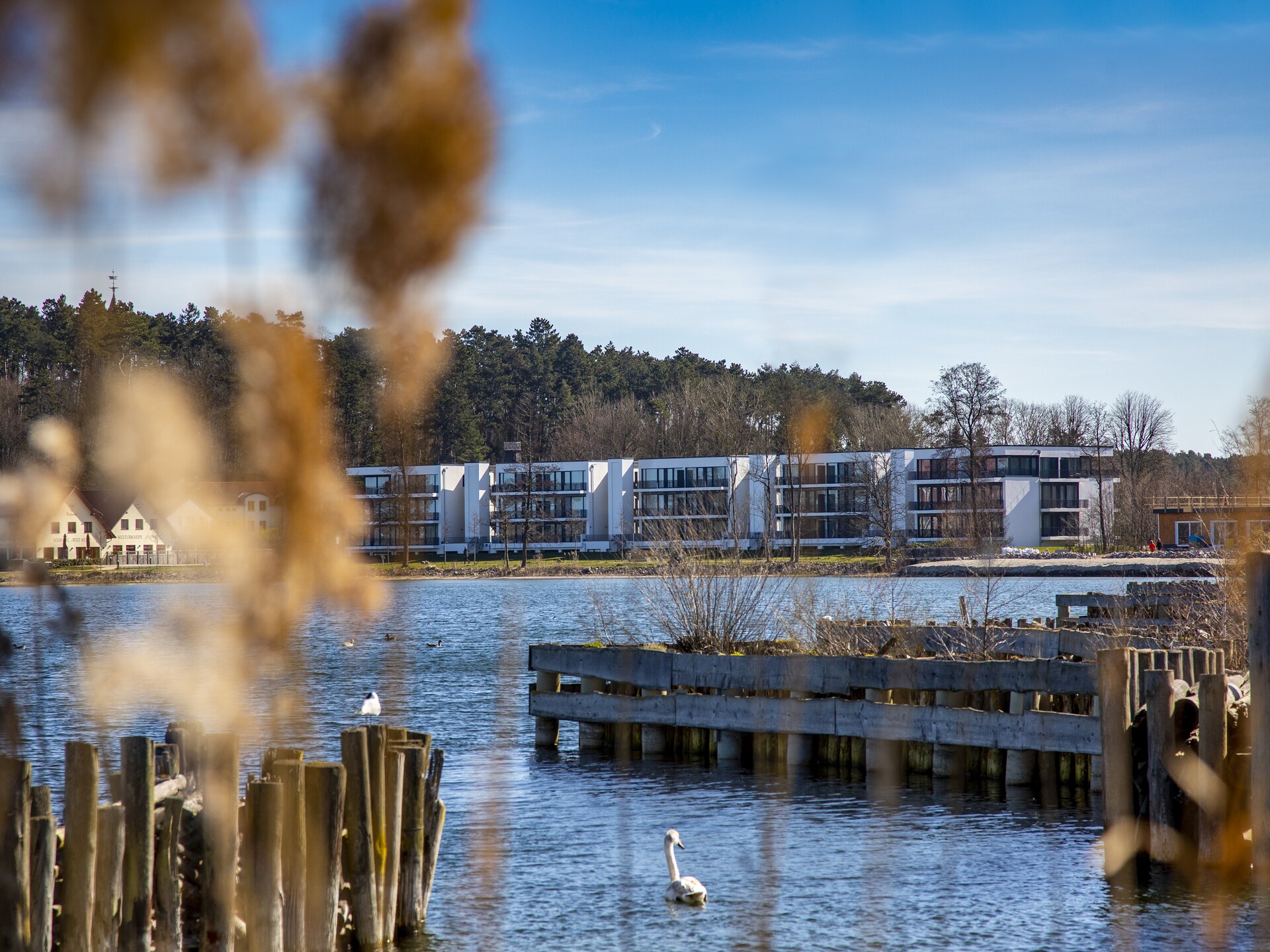 Luxe suite aan de Müritzsee – 50m van het water, wellness & golf - foto 7