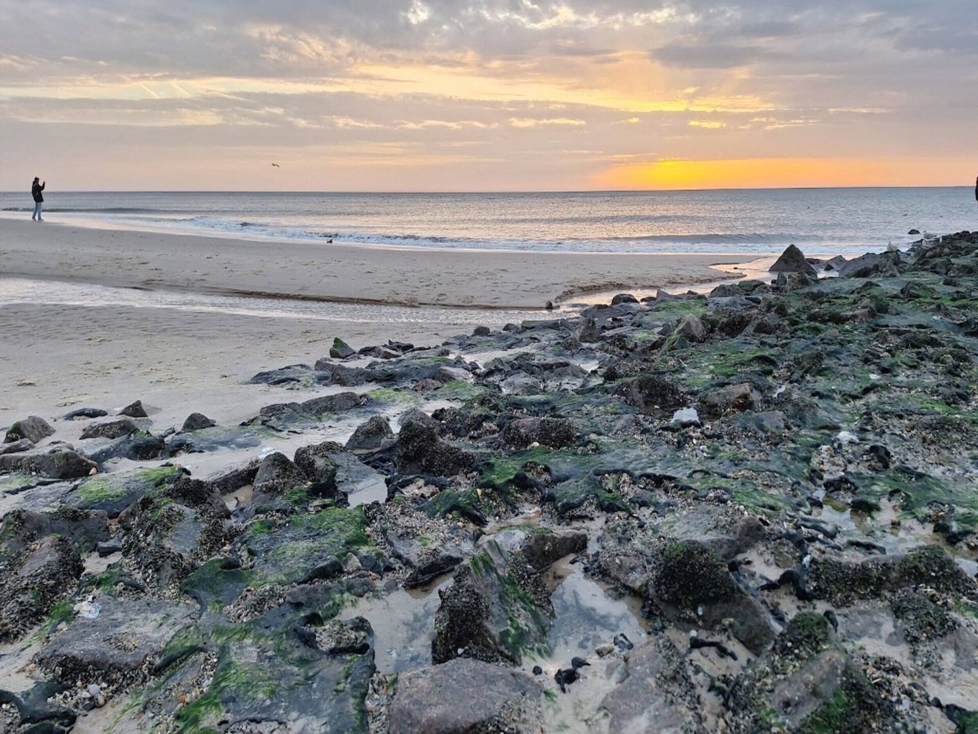 Licht appartement nabij golfbaan en strand in Westerland - foto 12