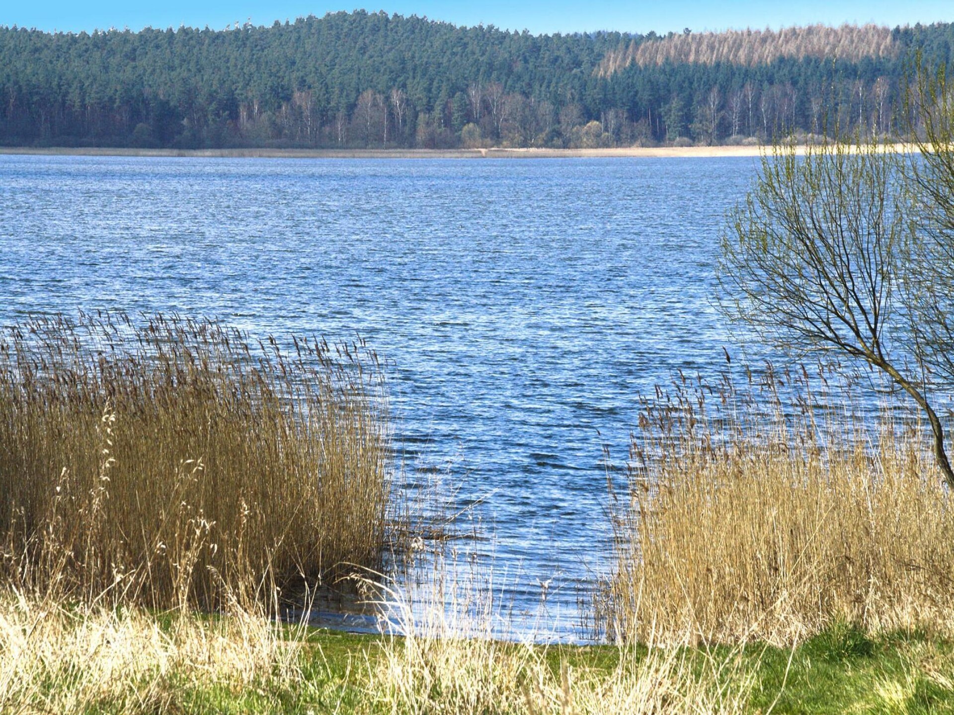 Modern vakantiehuis Min Kaat nabij Neuklostersee met sauna en kano - foto 8