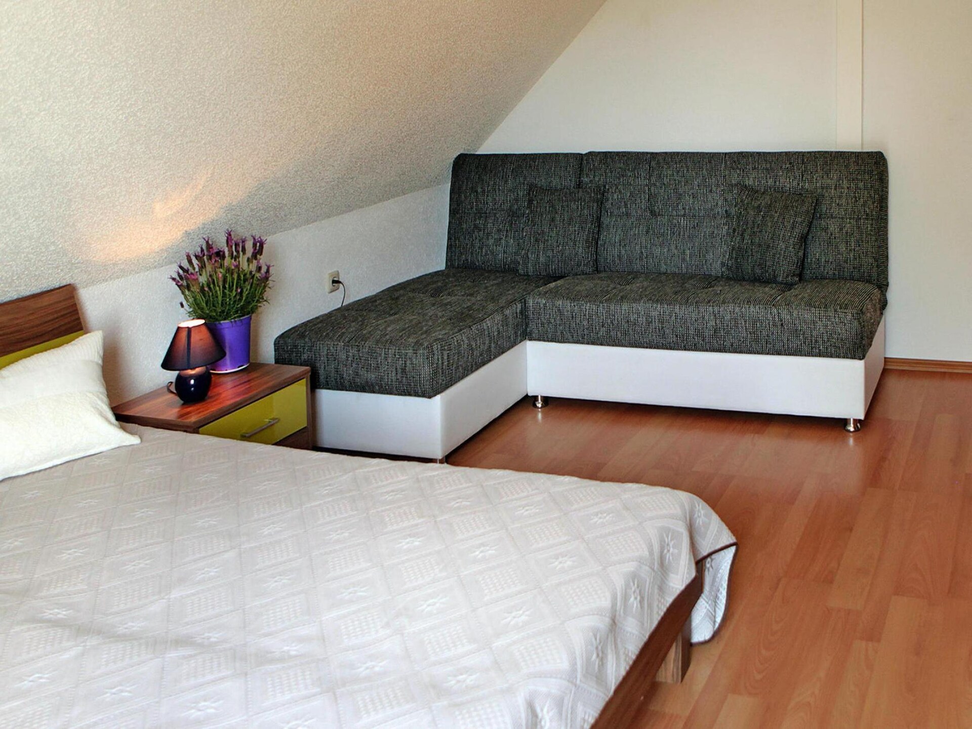 Modern vakantiehuis voor 6 personen met hond, 100 meter van de Kummerower See - foto 8