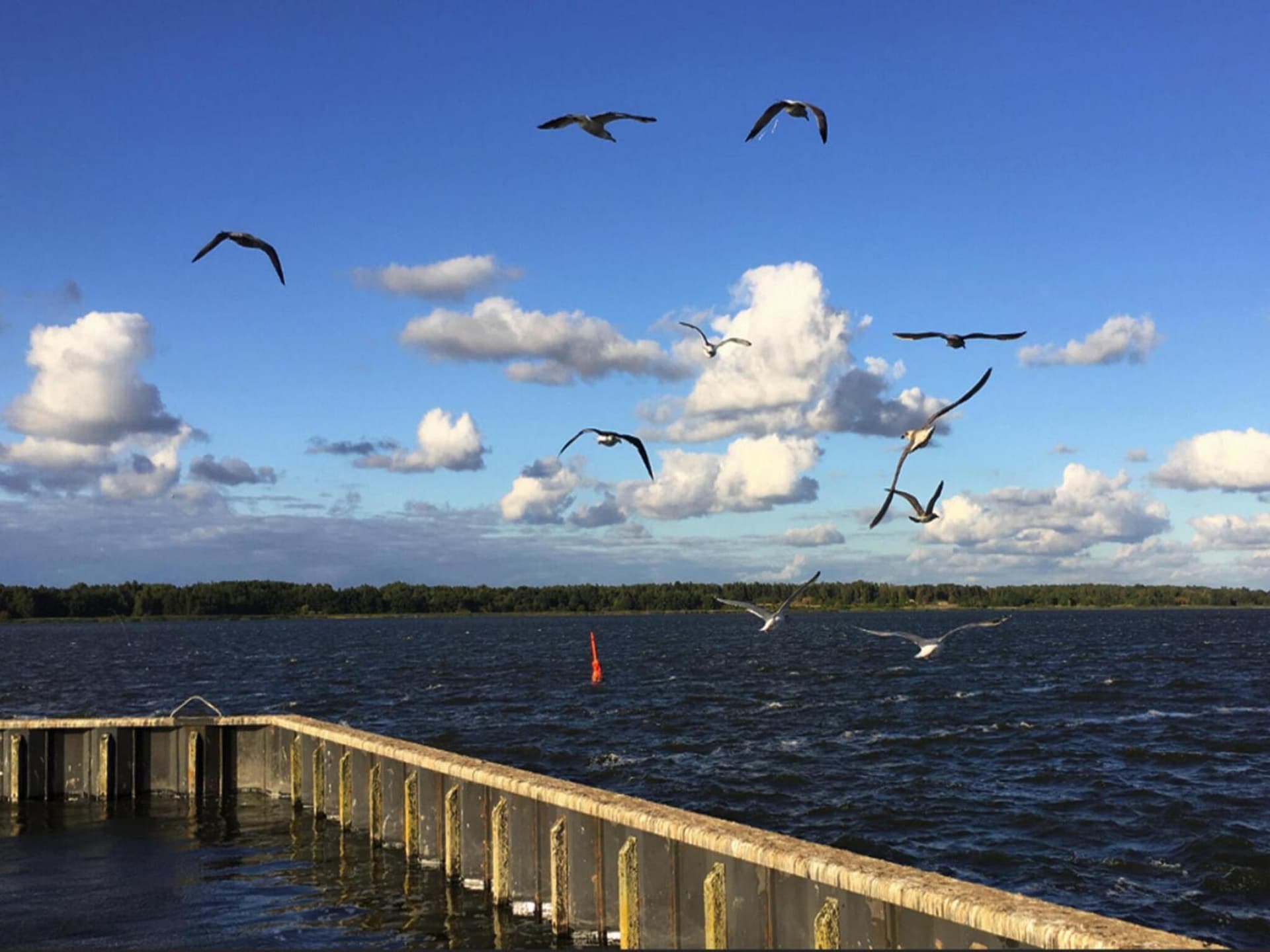 Woonboot met dakterras in de haven van Ribnitz-Damgarten - foto 33