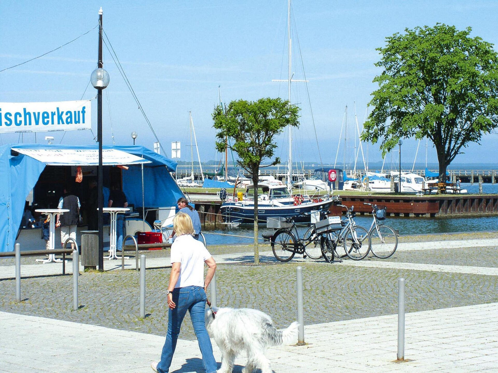 Gerenoveerd vakantiehuis met tuin bij de Boddenkust, hond toegestaan - foto 10