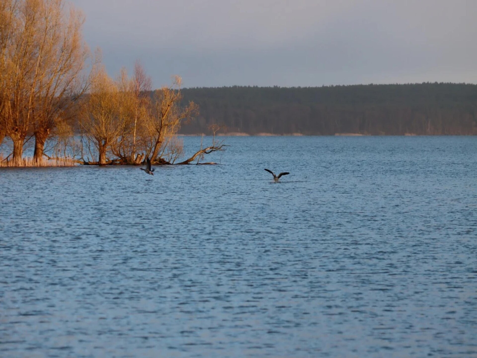 Havenappartement direct aan het meer in Plau am See voor 4 personen - foto 21
