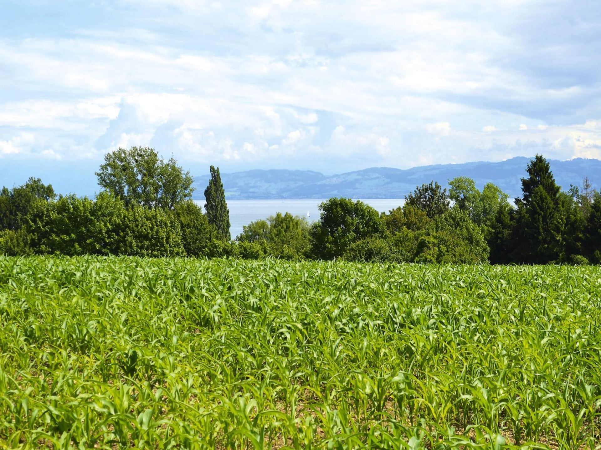 Knusse studio voor 2 personen op vakantiepark nabij de Bodensee - foto 15