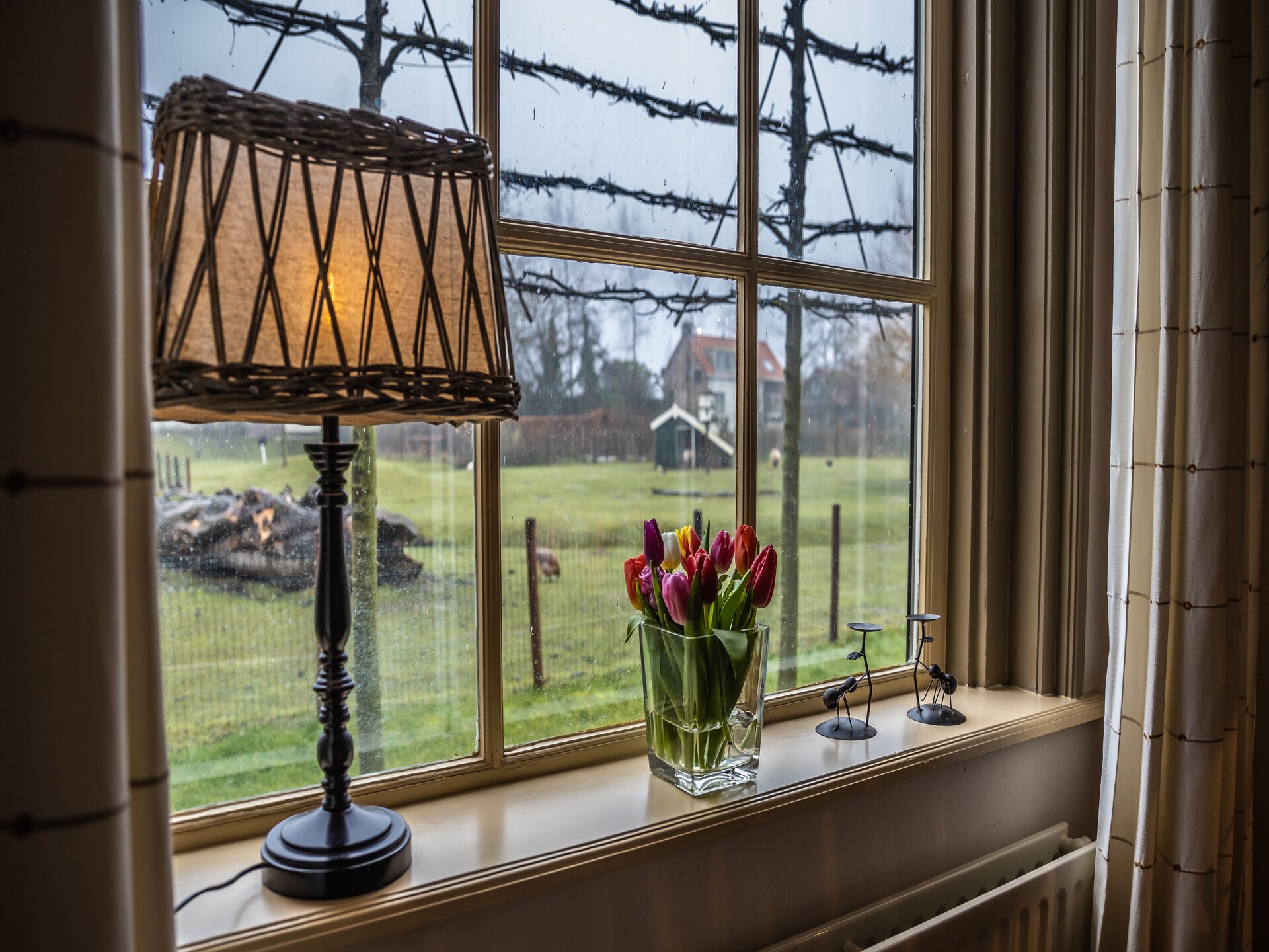 Historisch vakantiehuis bij Oranjezon, 400m van de duinen en 900m van strand - foto 2