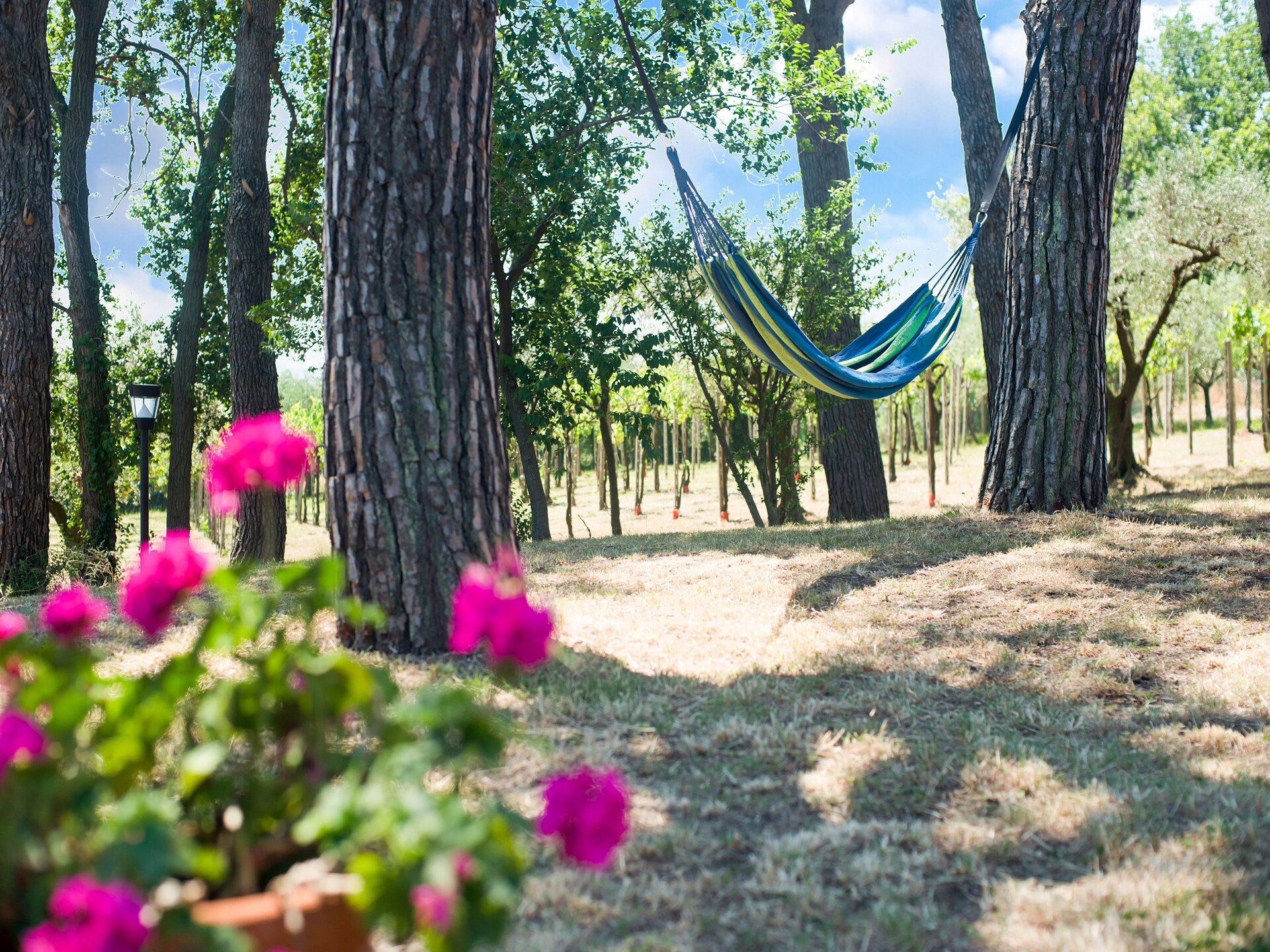 Vrijstaand vakantiehuis met privézwembad en zeezicht bij Pesaro - foto 27