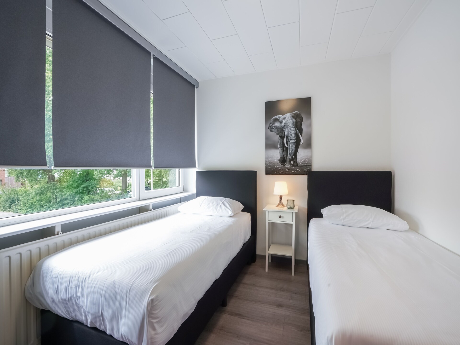Vrijstaand vakantiehuis De Linge: wellness, bos & skiën in Zuid-Limburg - foto 20