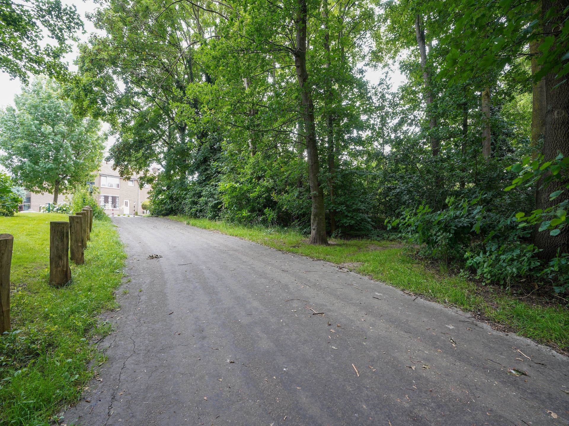 Vrijstaand vakantiehuis De Linge: wellness, bos & skiën in Zuid-Limburg - foto 28