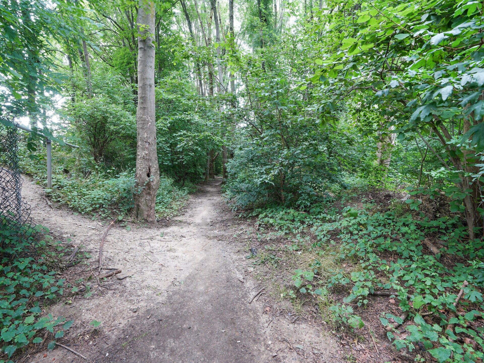 Vrijstaand vakantiehuis De Linge: wellness, bos & skiën in Zuid-Limburg - foto 31