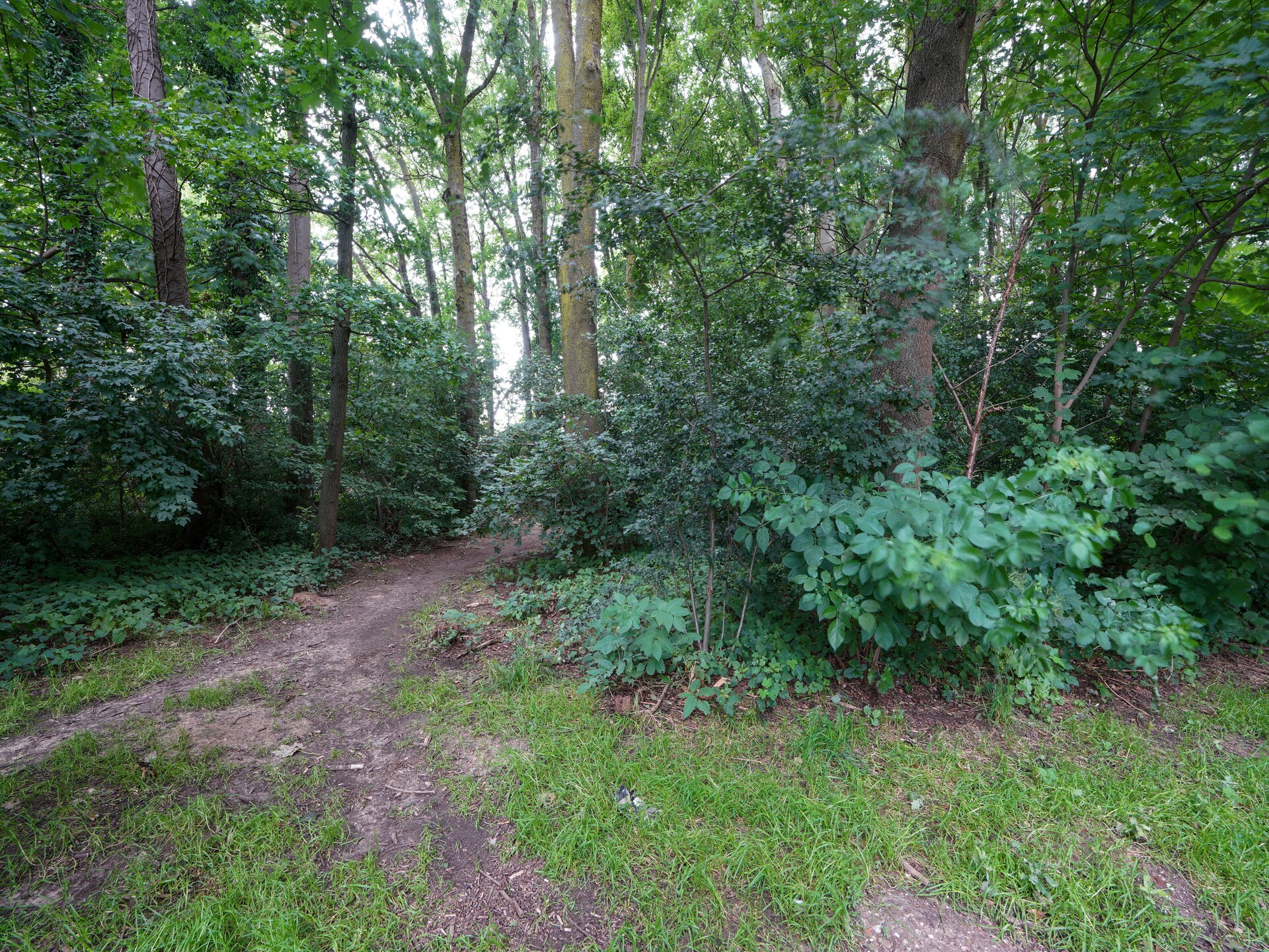 Vrijstaand vakantiehuis De Linge: wellness, bos & skiën in Zuid-Limburg - foto 29