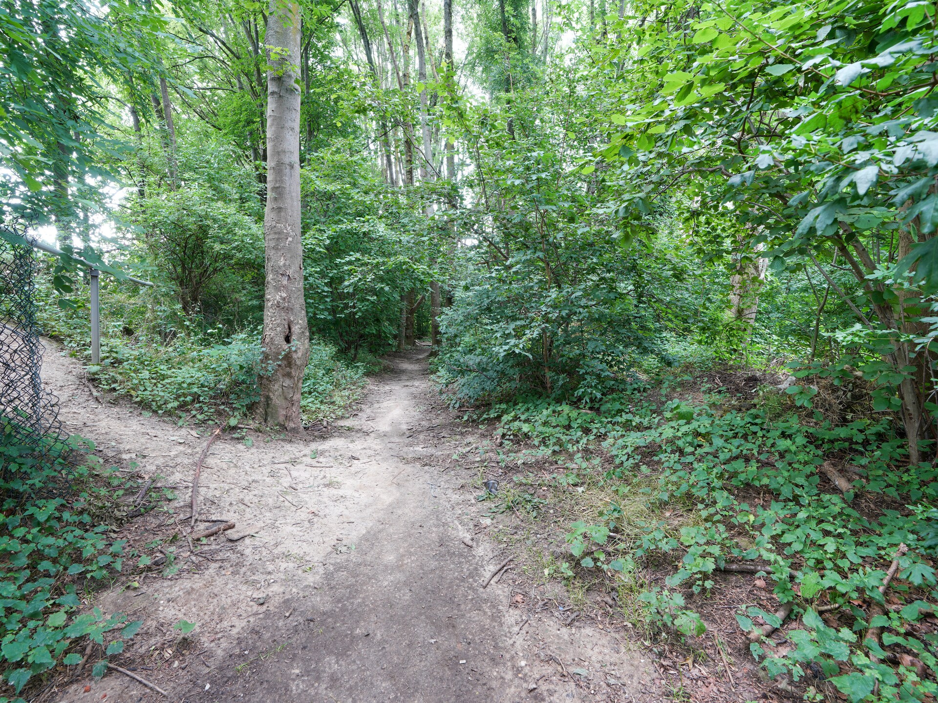 Vrijstaand vakantiehuis De Linge: wellness, bos & skiën in Zuid-Limburg - foto 30