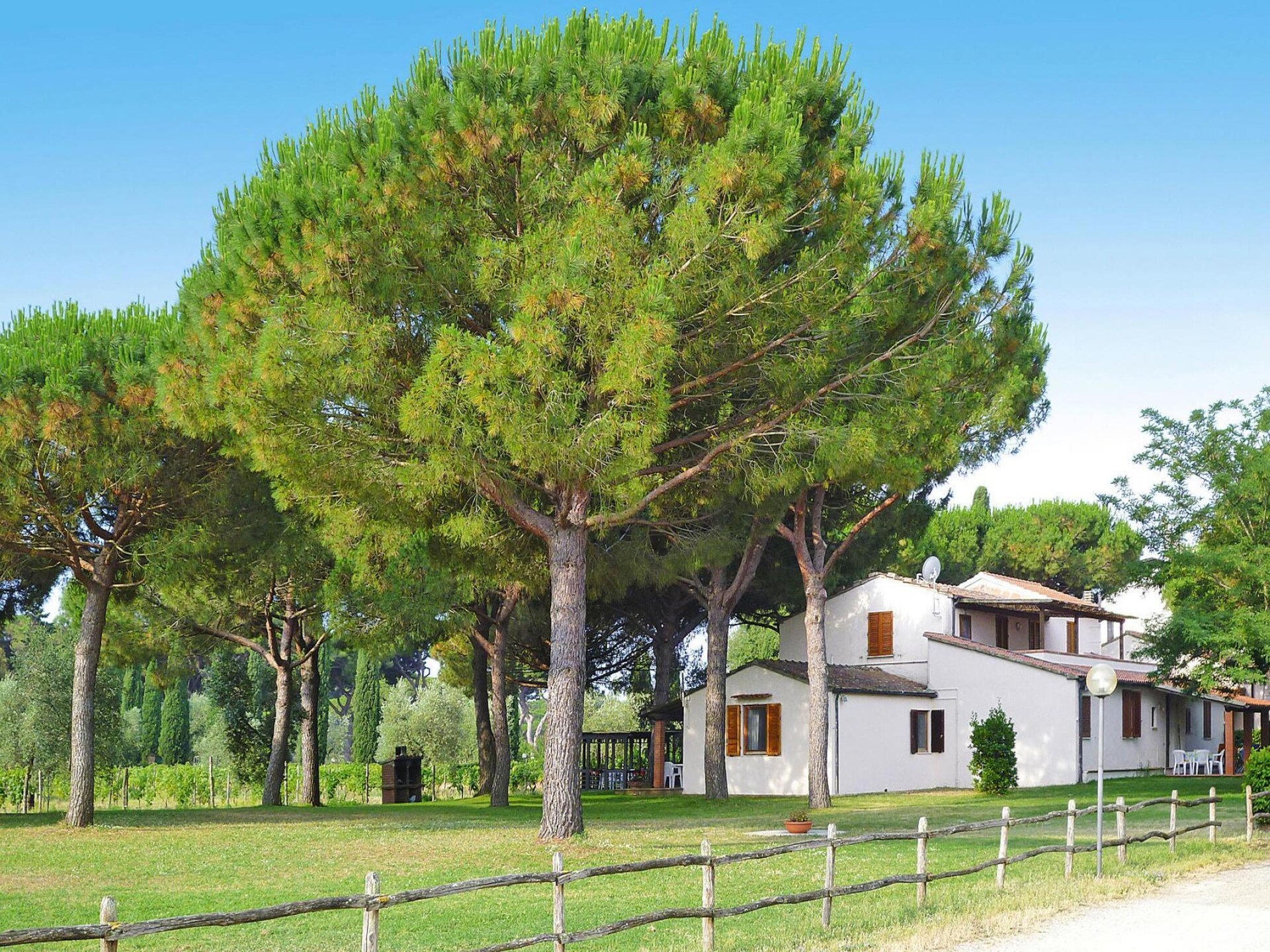 Op 900 m van het strand: Rustig appartement in Marina di Grosseto - foto 12