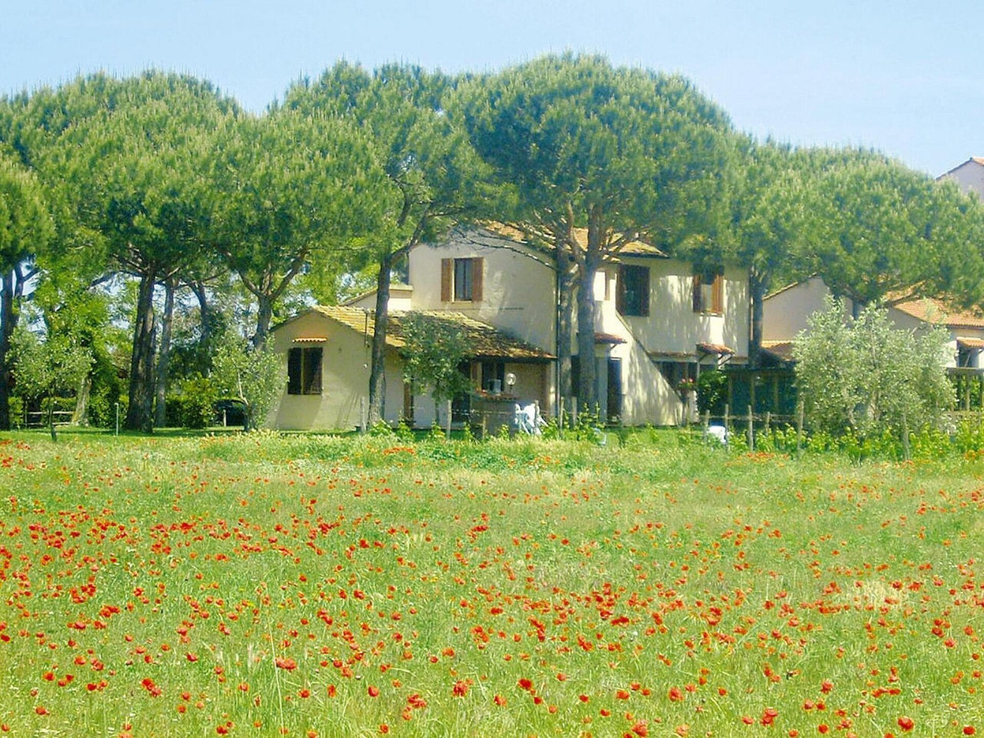 Op 900 m van het strand: Rustig appartement in Marina di Grosseto - foto 26