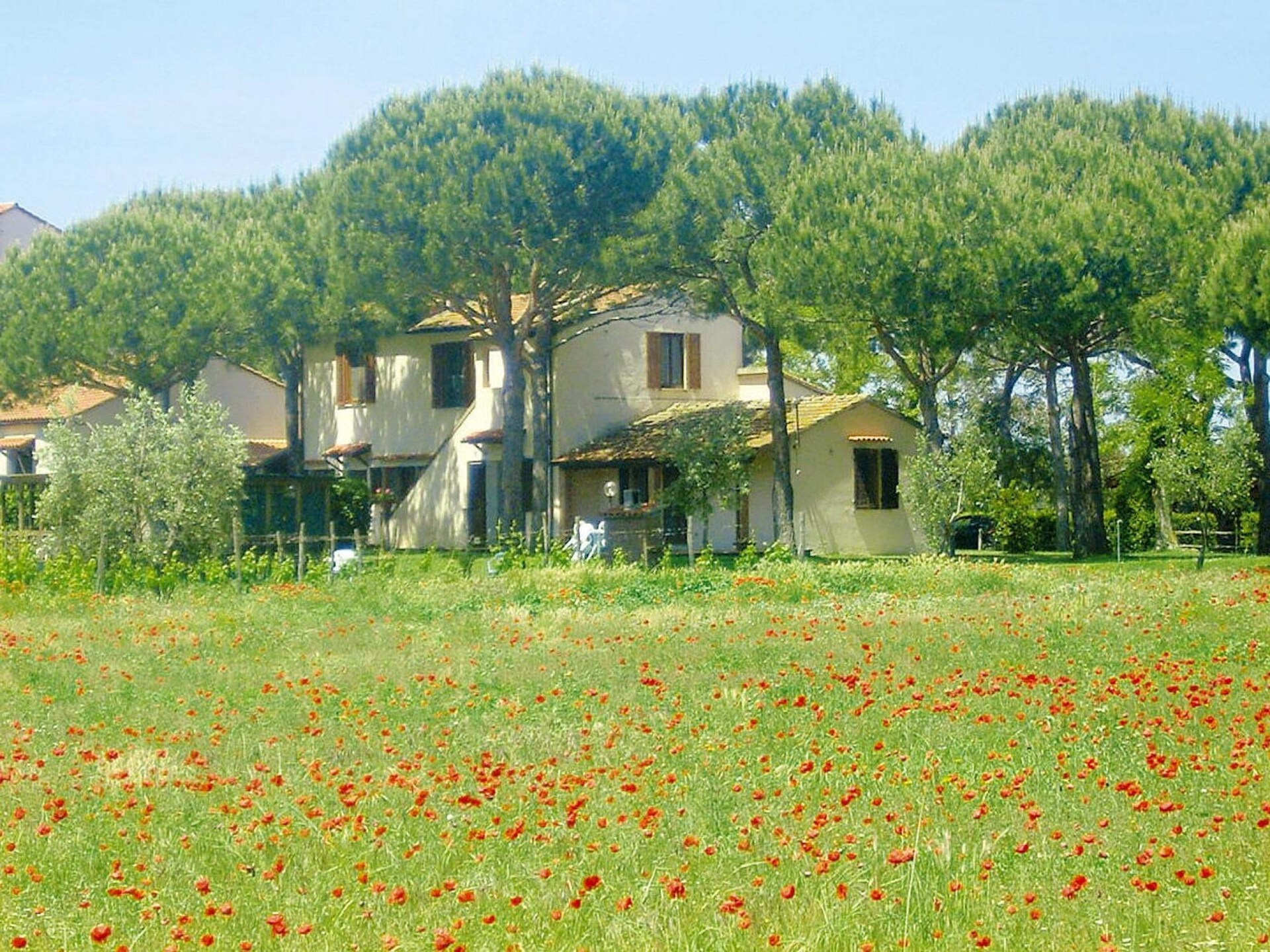 Op 900 m van het strand: Rustig appartement in Marina di Grosseto - foto 24