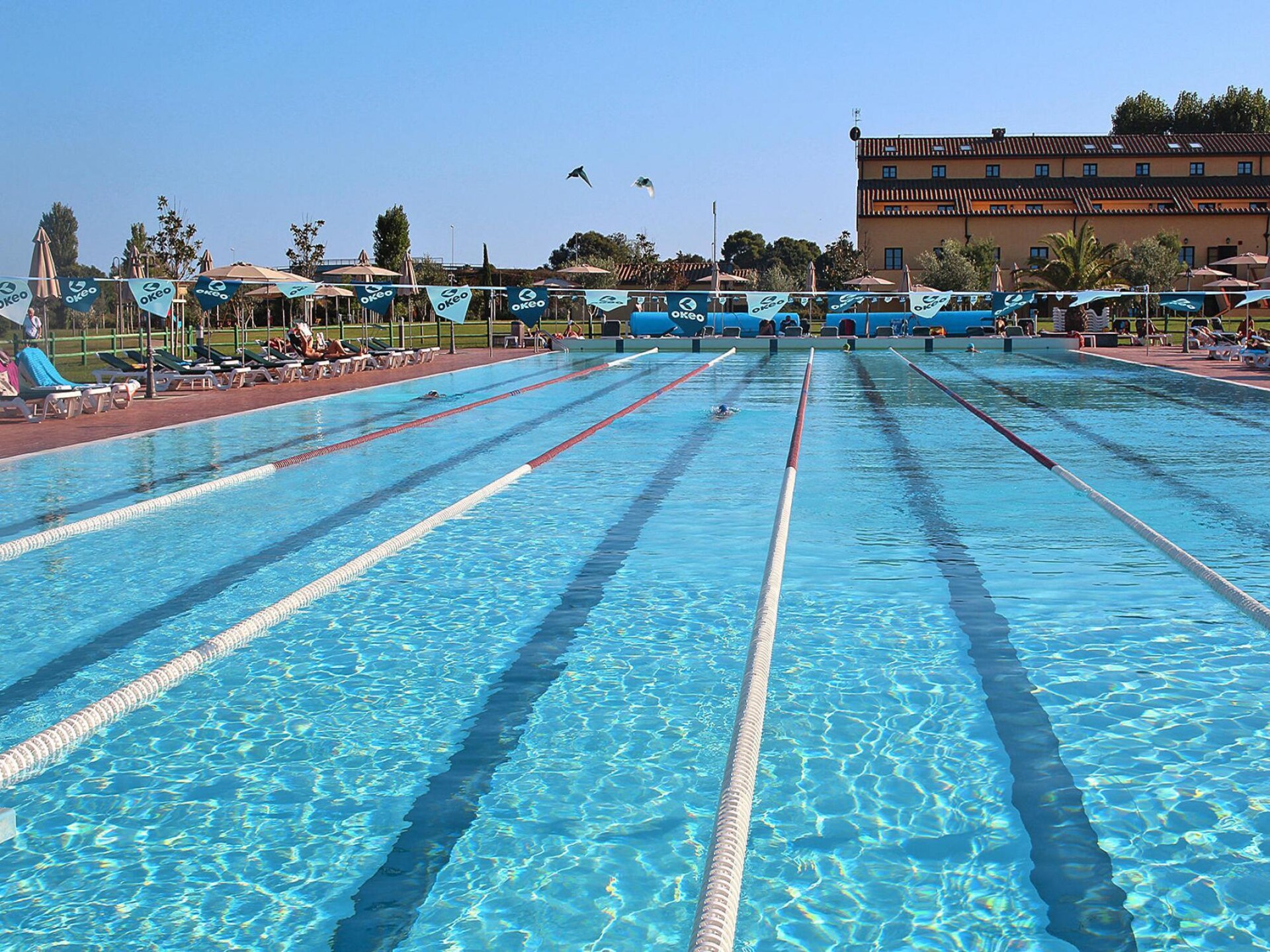Toscaans loftappartement voor 5 op vakantiepark met olympisch zwembad - foto 2