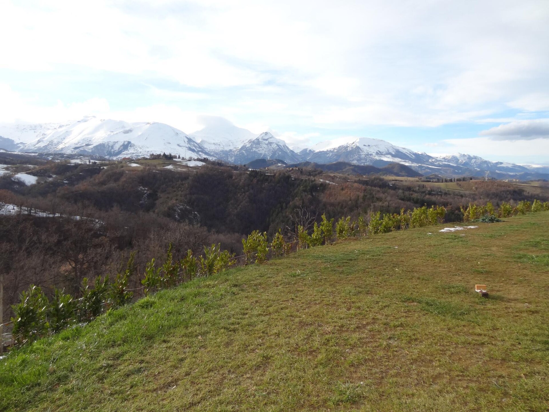 Agriturismo La Filomena: Authentiek appartement in Monti Sibillini, 4 pers. - foto 19