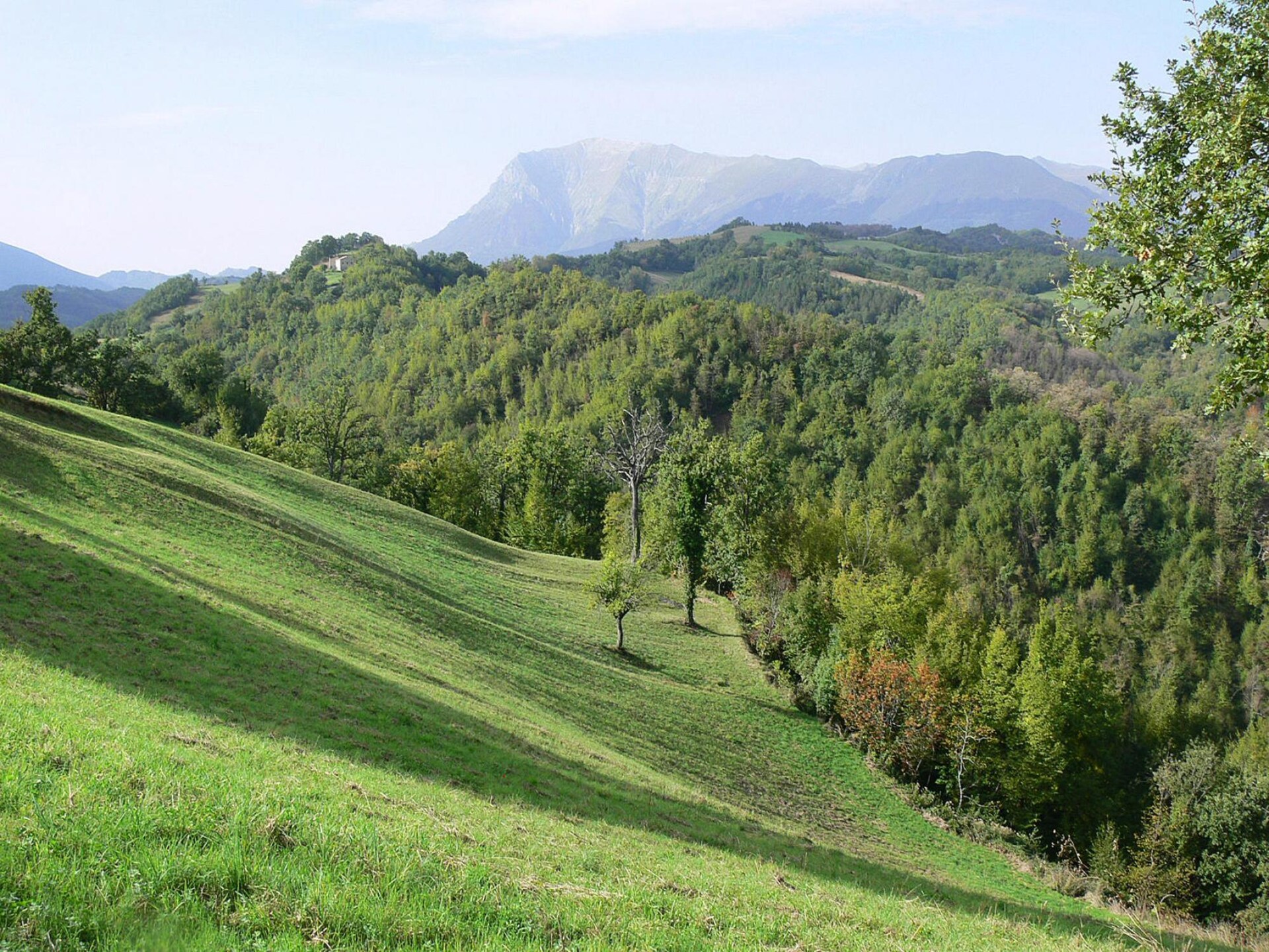 Agriturismo La Filomena: Authentiek appartement in Monti Sibillini, 4 pers. - foto 6