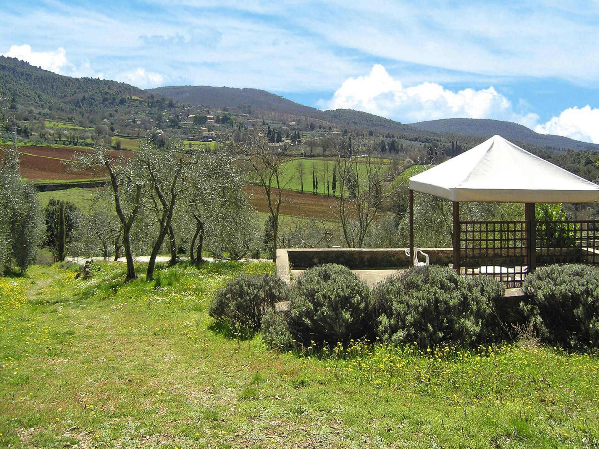 Charmant appartement met zwembad in Sovicille, Toscane - foto 23