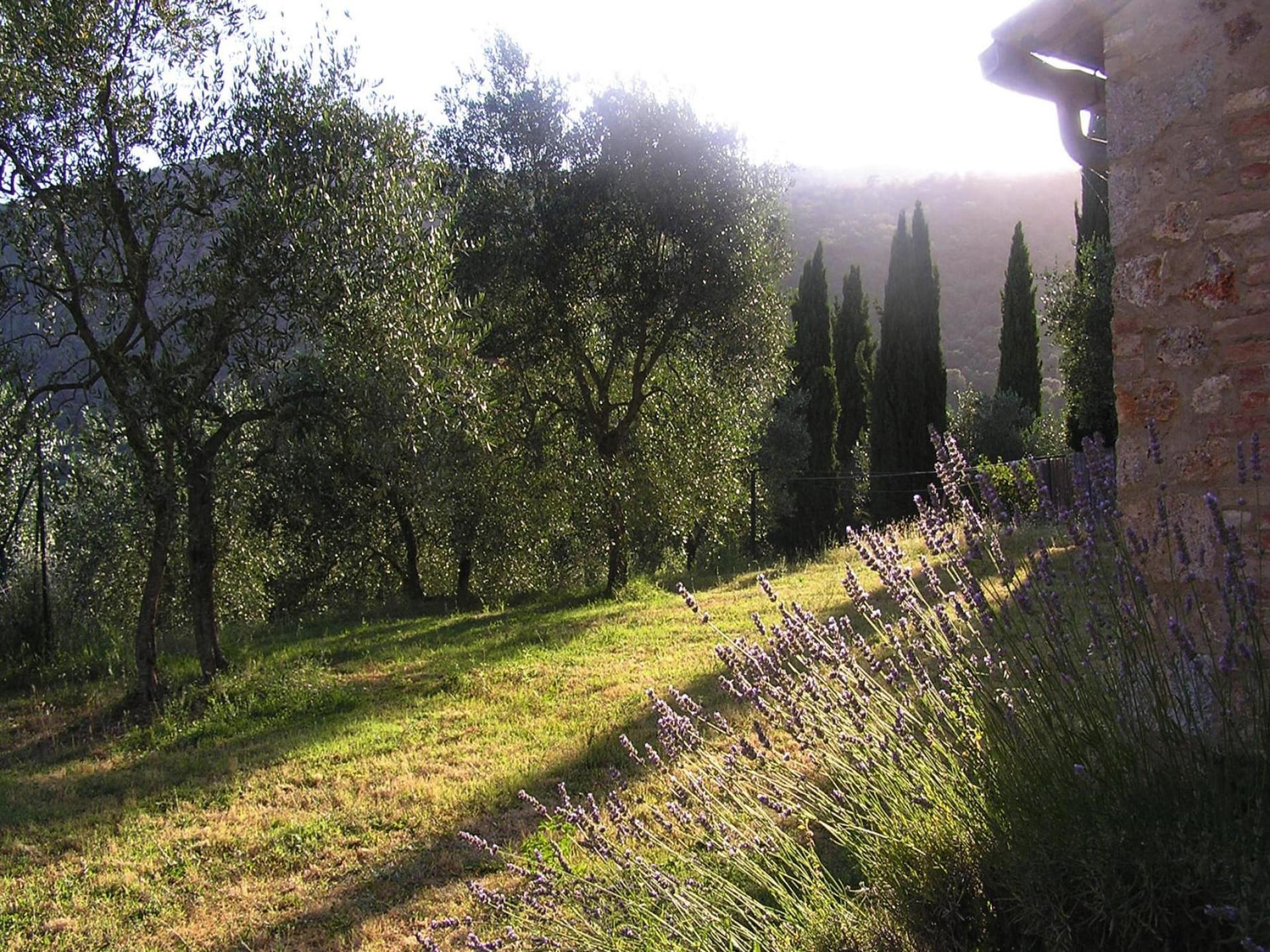 Charmant appartement met zwembad in Sovicille, Toscane - foto 25