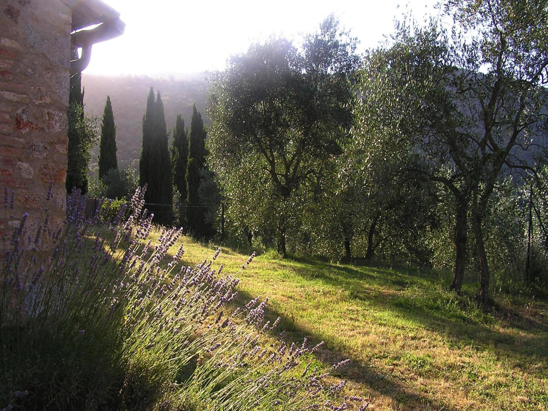 Charmant appartement met zwembad in Sovicille, Toscane - foto 26