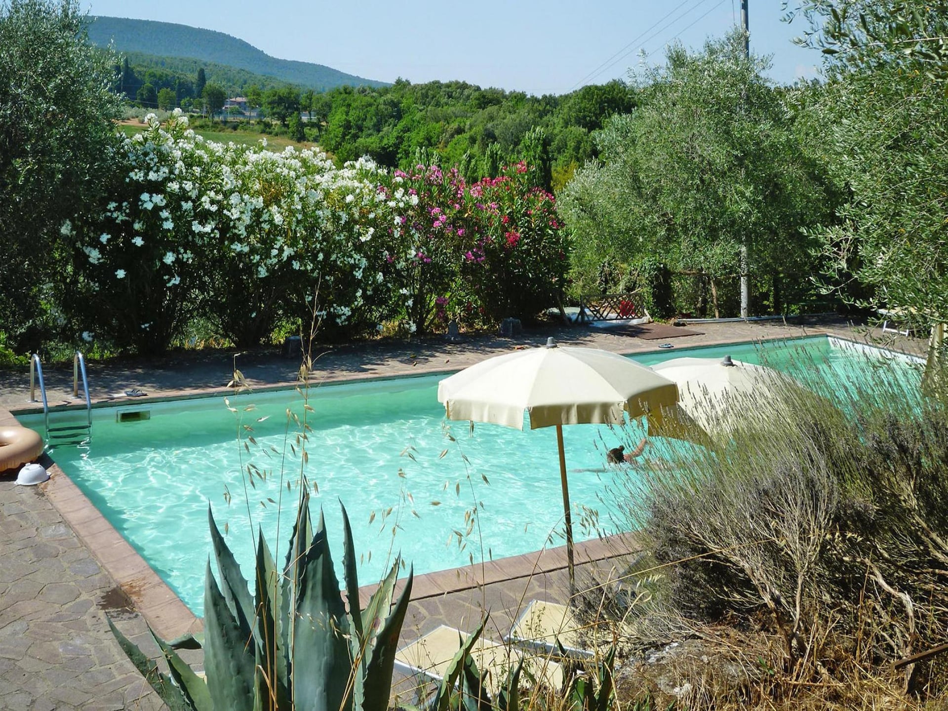 Charmant appartement met zwembad in Sovicille, Toscane - foto 10