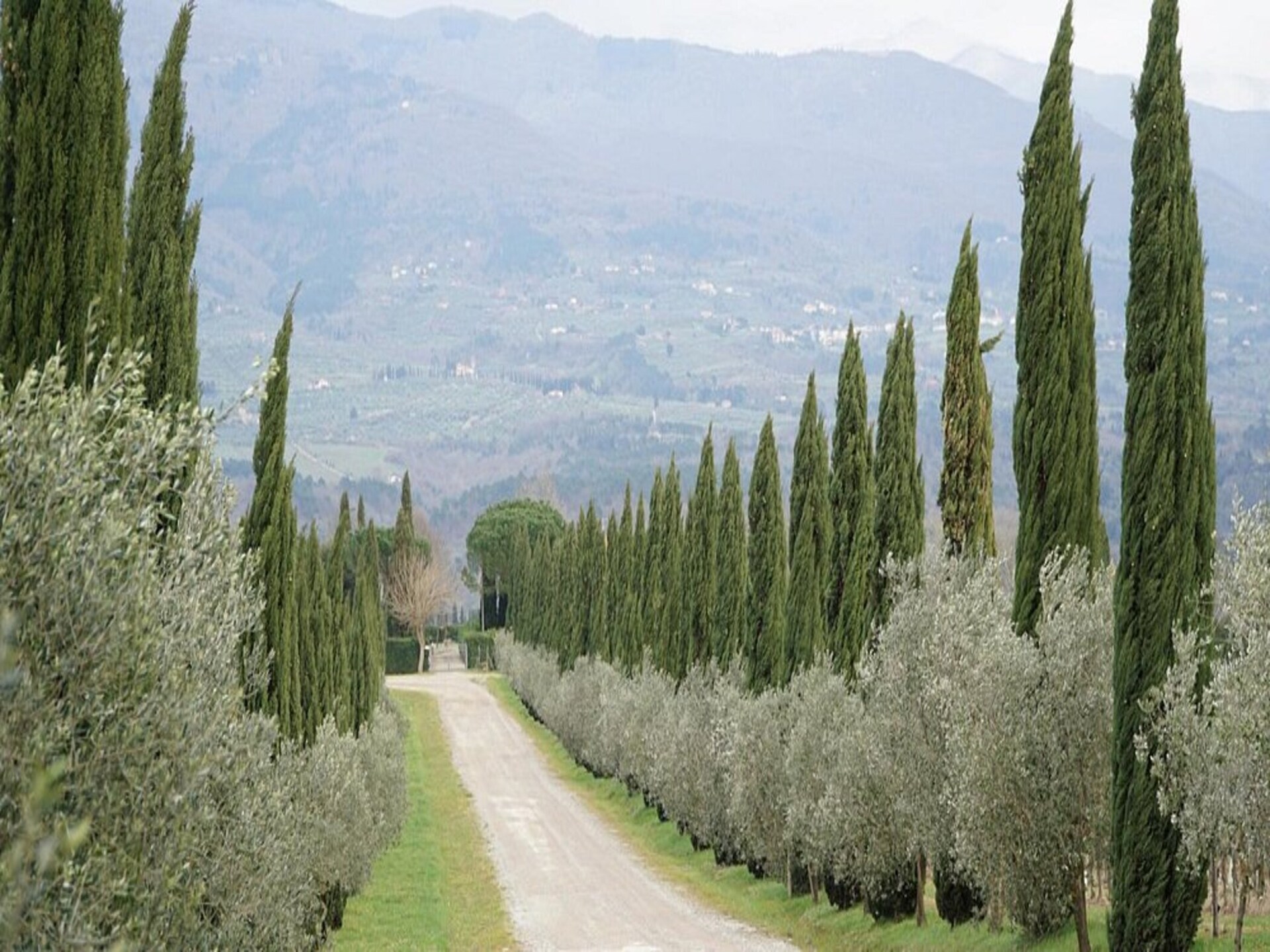 Gerenoveerd landhuis in Toscane met groot zwembad, vlakbij Florence - foto 17