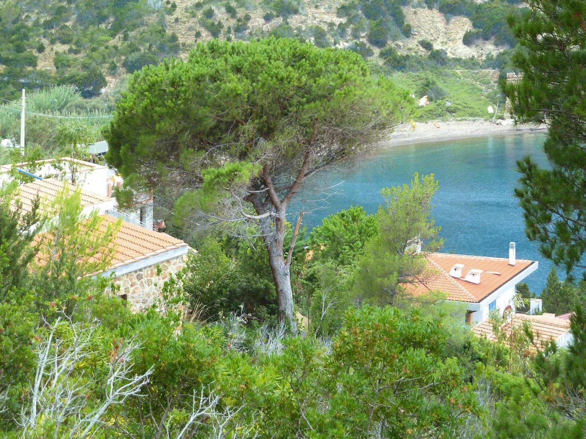 4-persoons appartement aan zee in Rio nell'Elba - foto 25