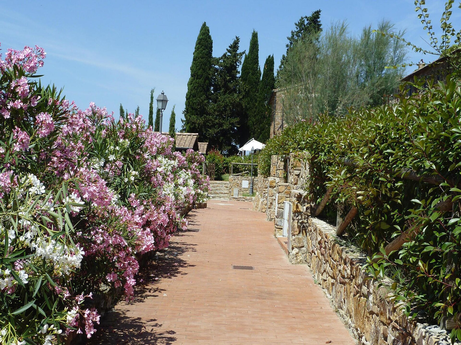 Rustiek appartement in Campiglia Marittima met panoramisch uitzicht · 3 pers. - foto 10