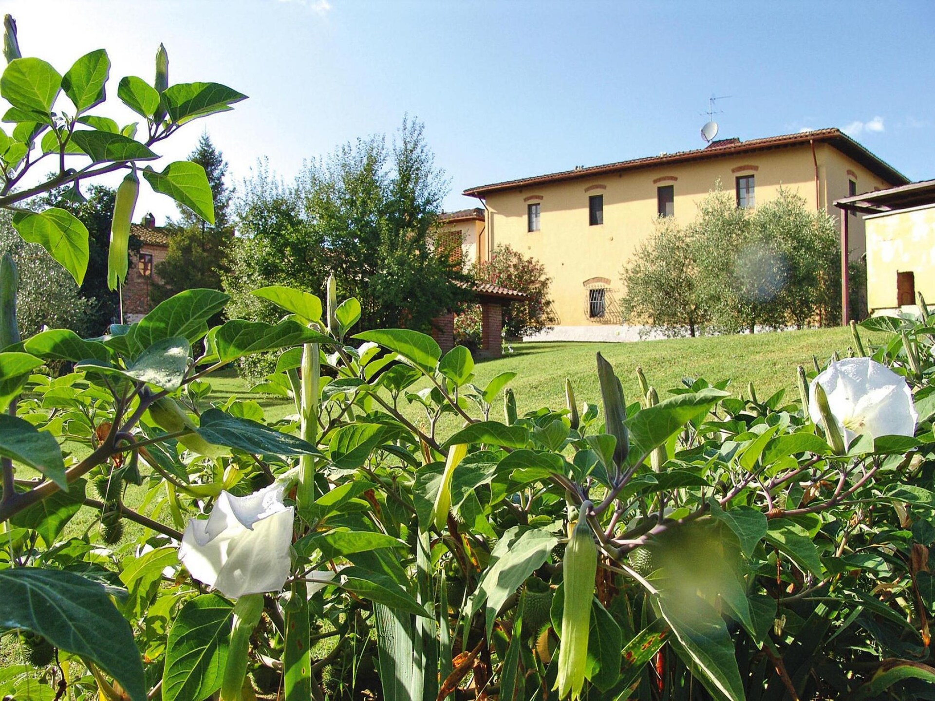 Agri-tourism Poggio al Sole: authentiek verblijf in het hart van Toscane - foto 28