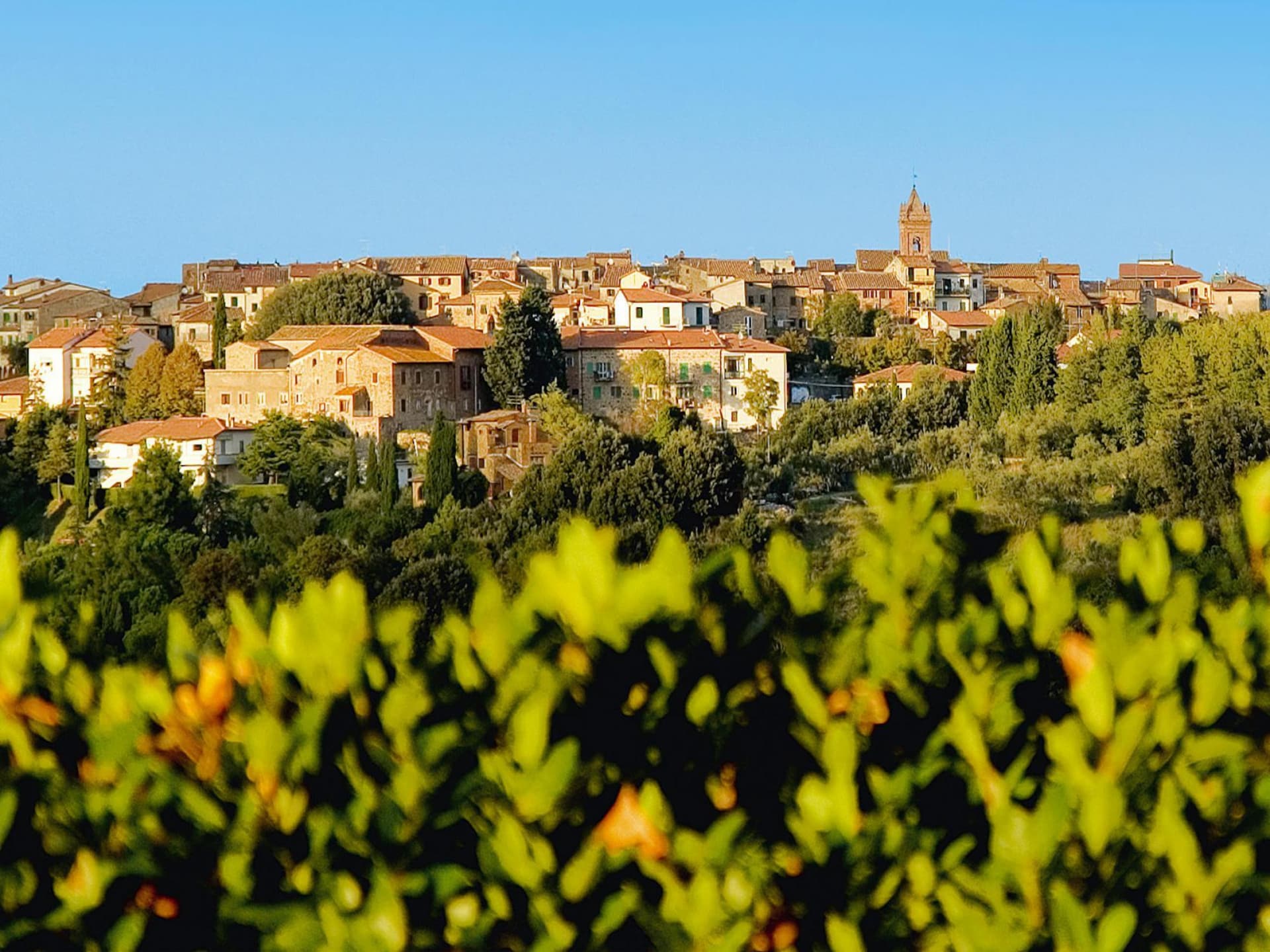 Ruim Toscaans appartement voor 8 personen in Montaione - foto 10